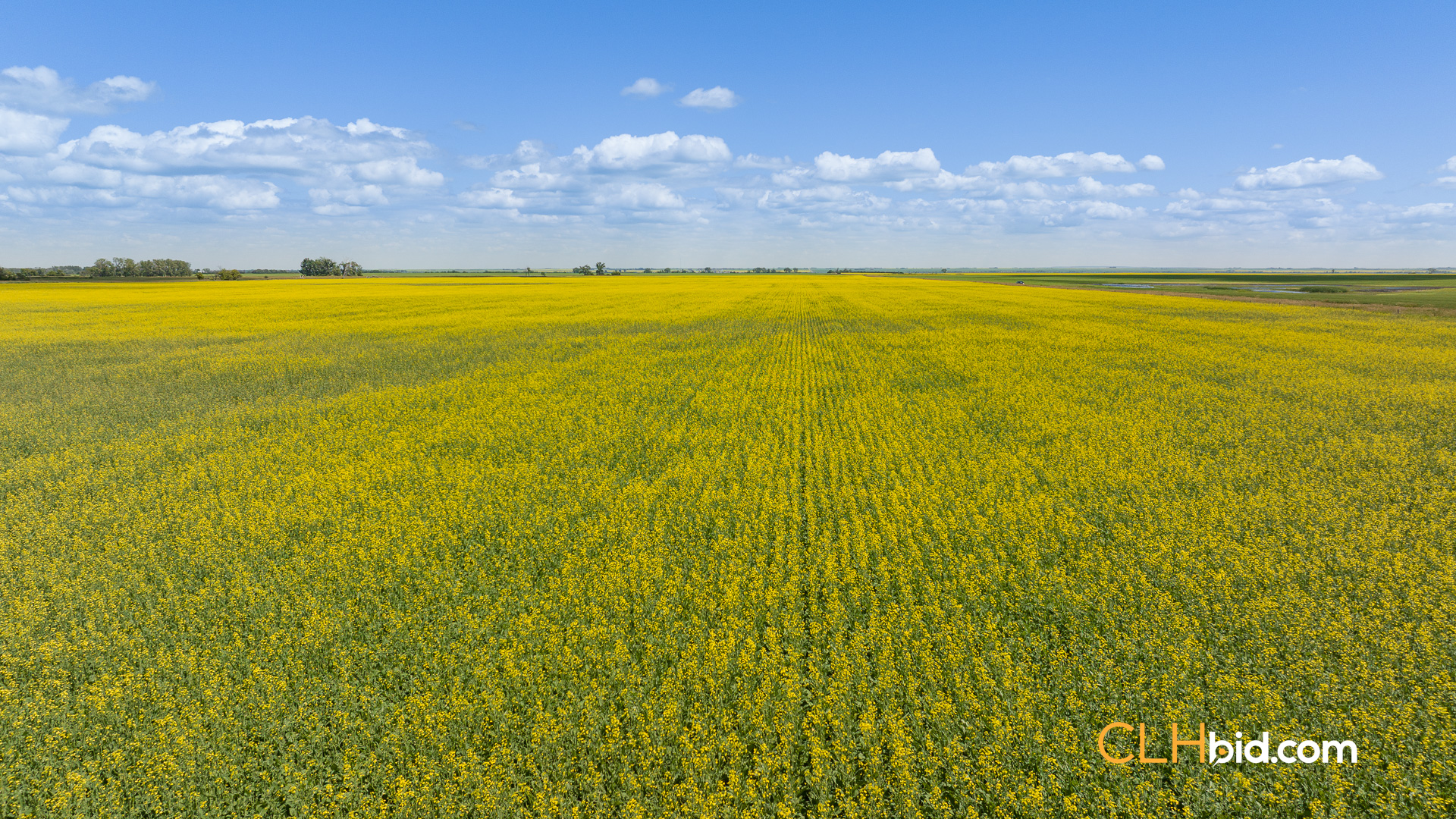 Last Mountain Prairie - Parcel 3