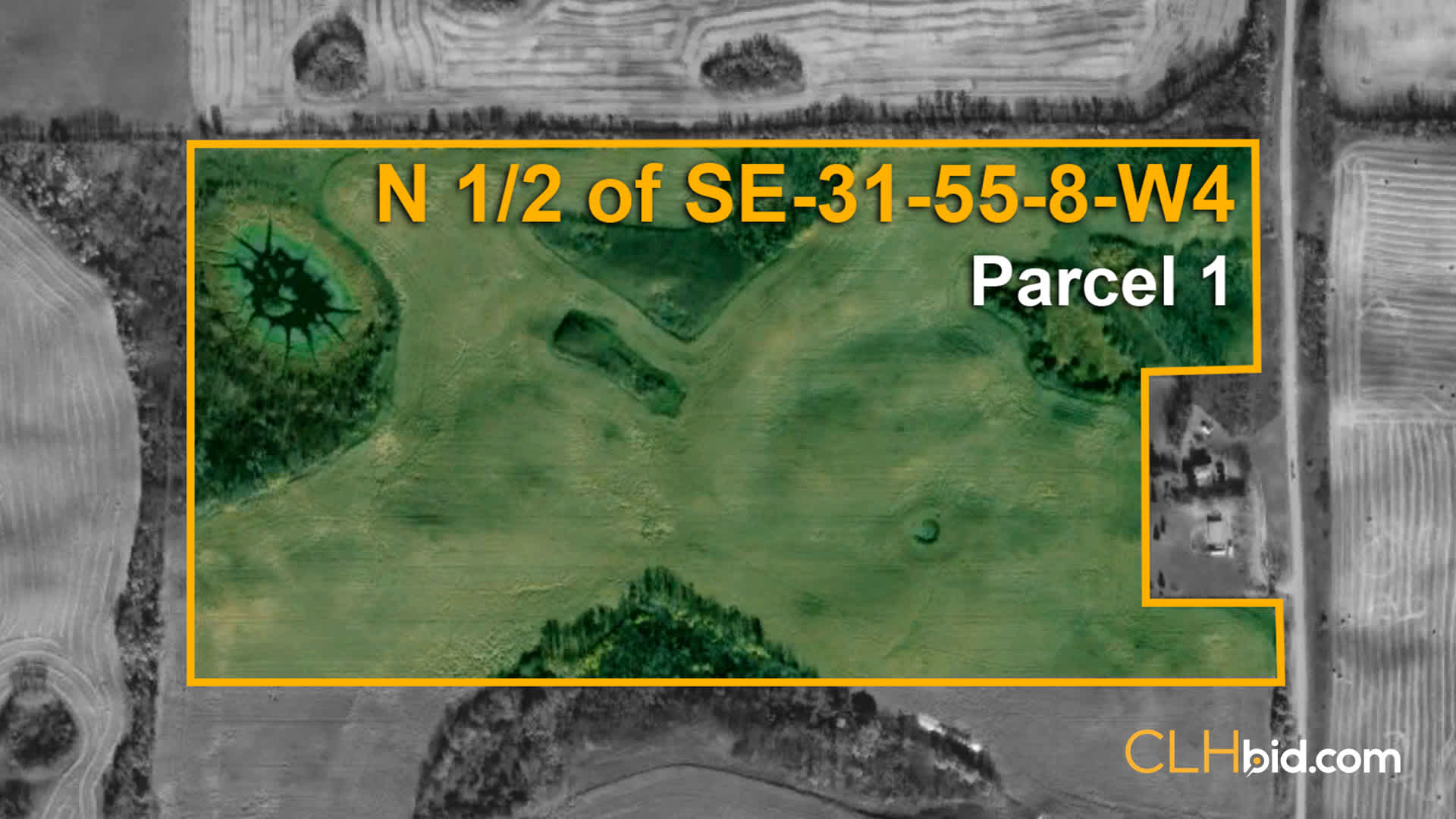 P1-NH-of-SE-31