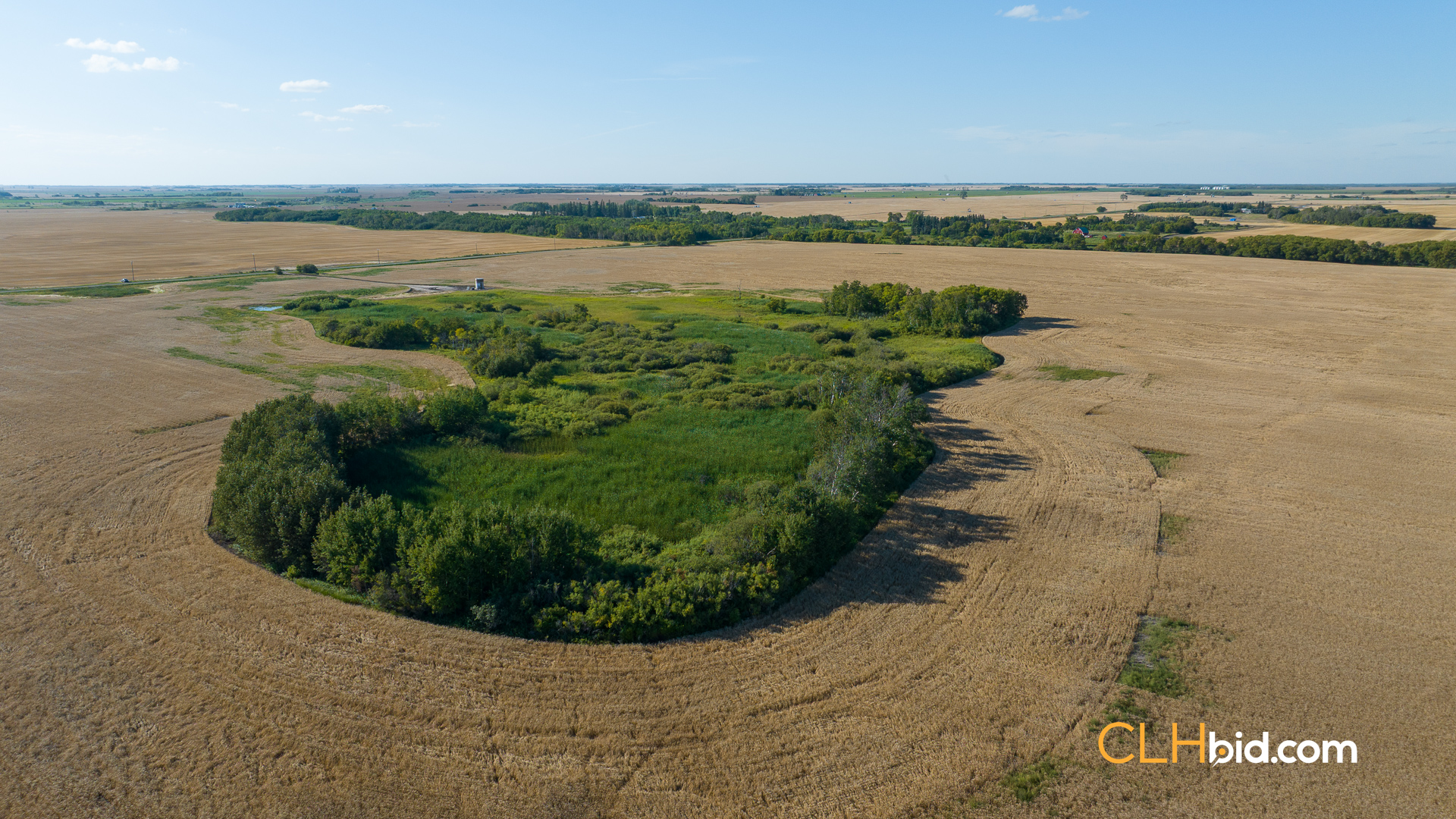 Web-Virden2-16