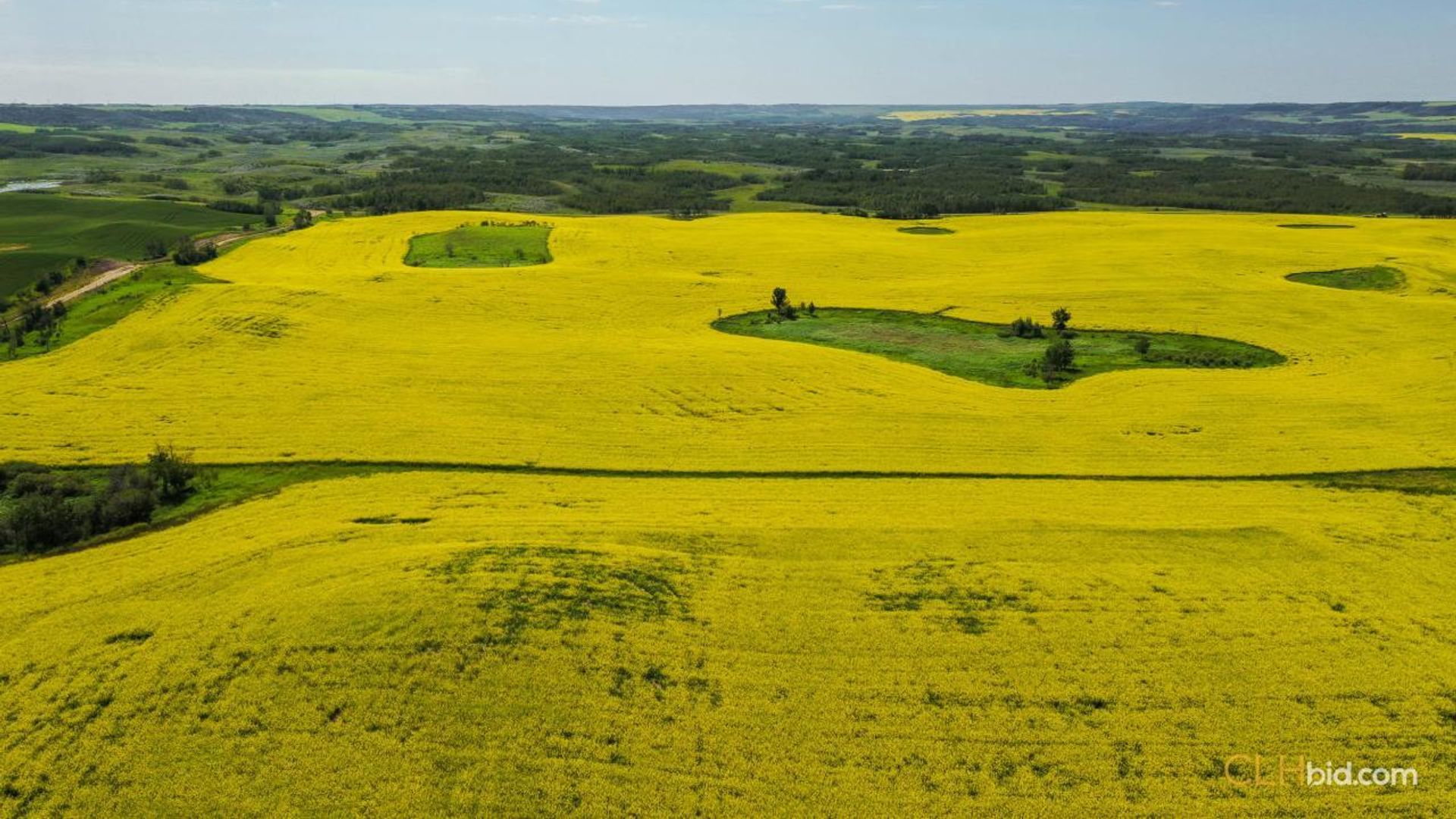 lazyadiamondranch-1-2