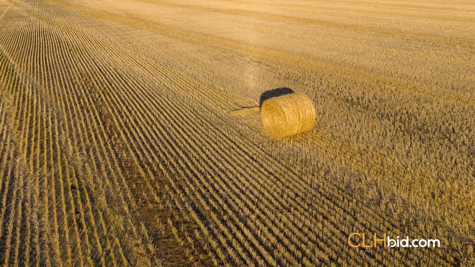 View from above of Farm To Table