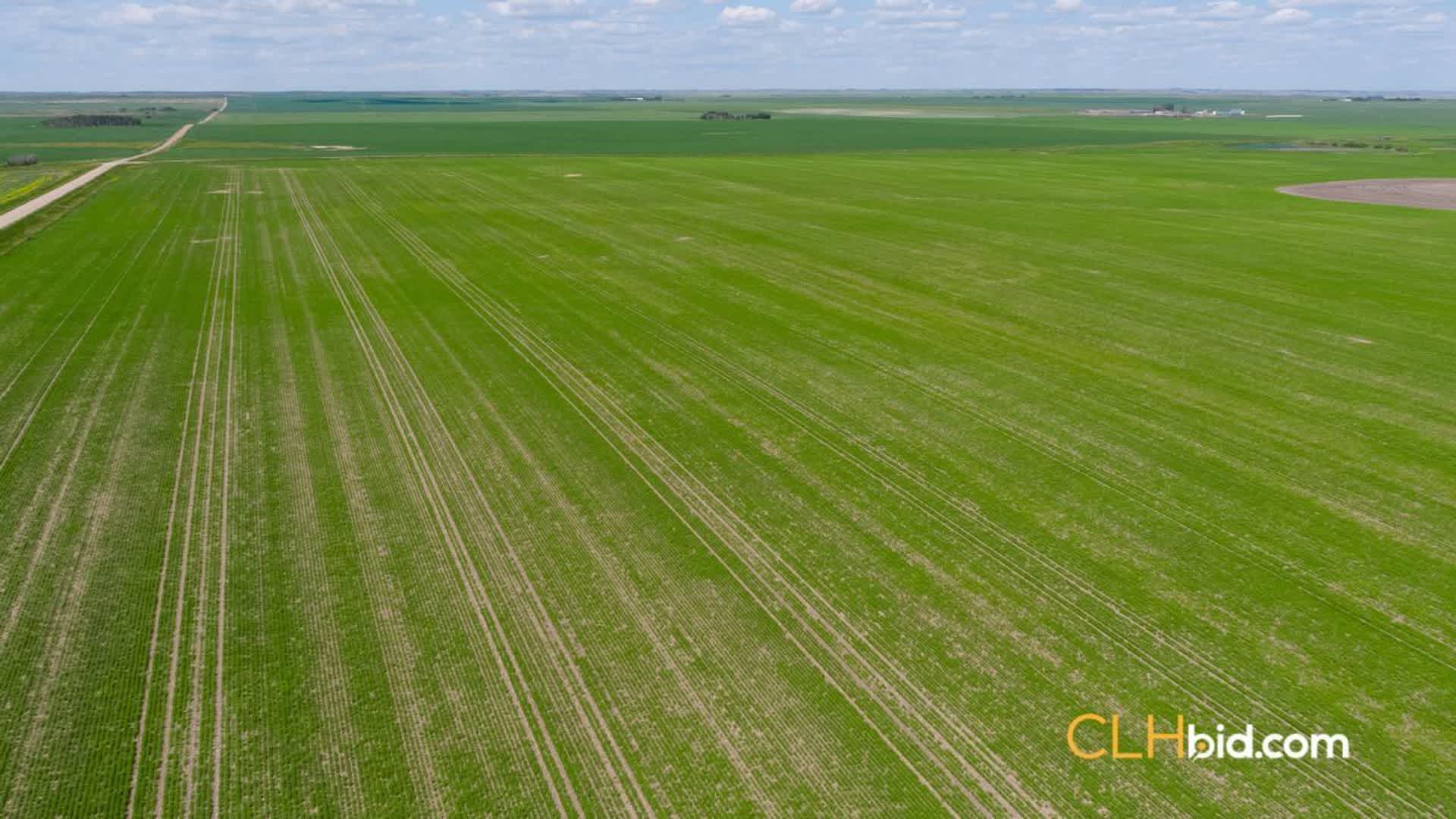 View from above of Saskatchewan Patches