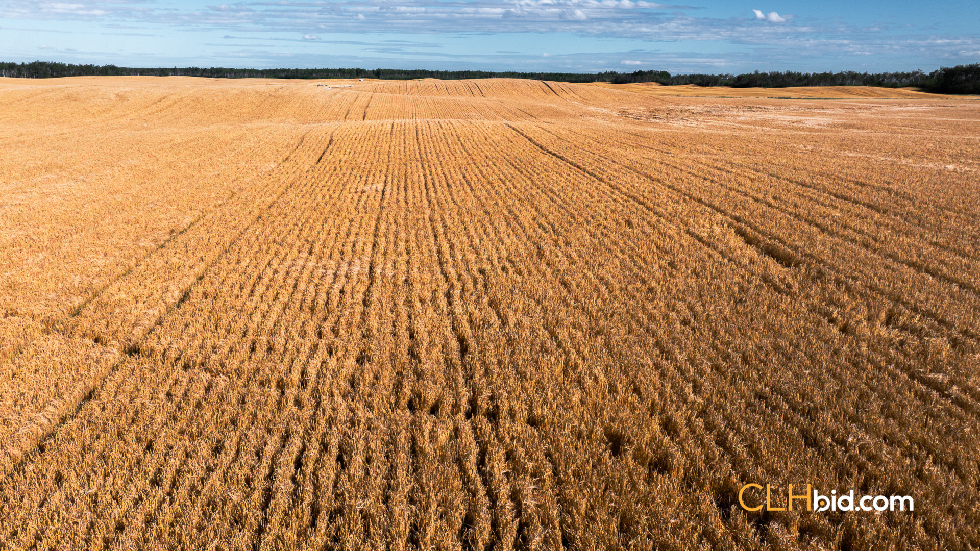 Web Veteran Legacy-23