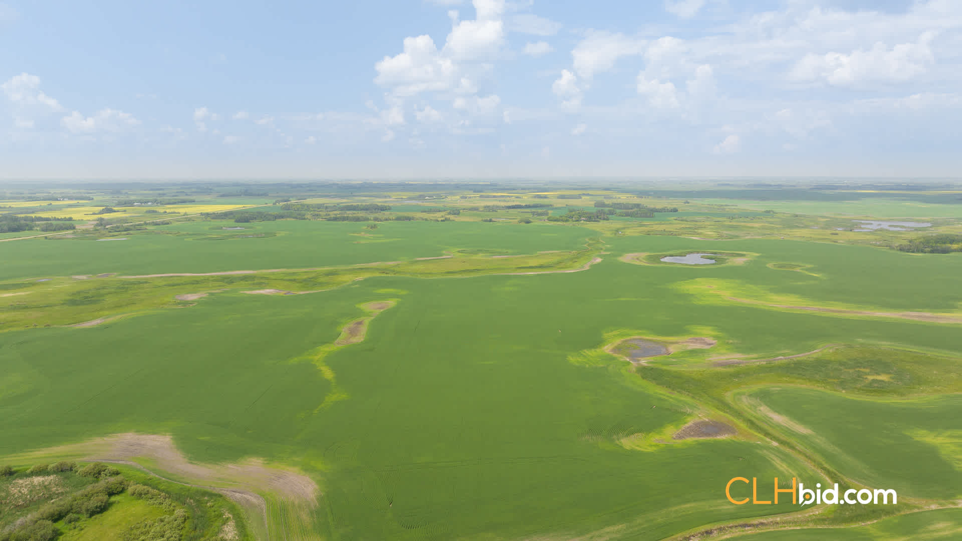 Web-ShoalLake-6