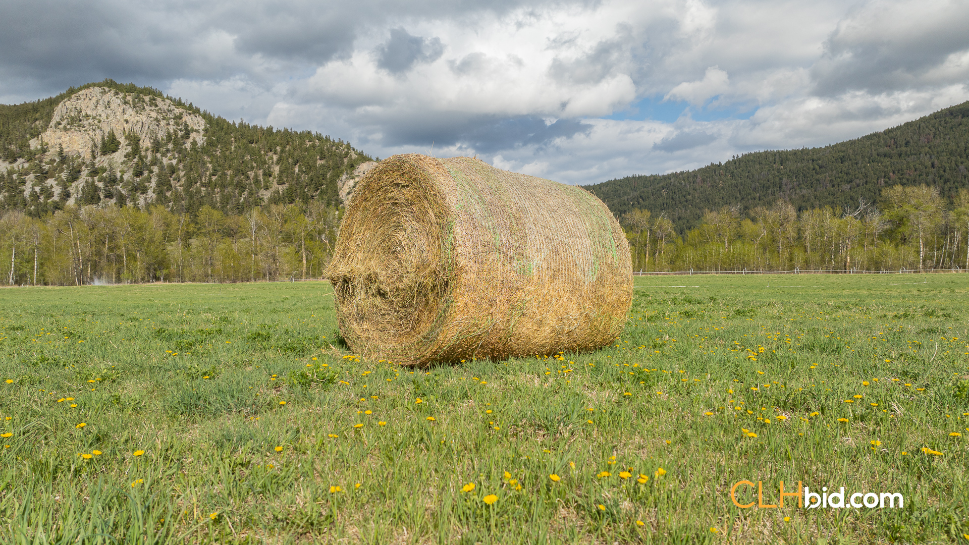 Web-HCR-Equipment-25