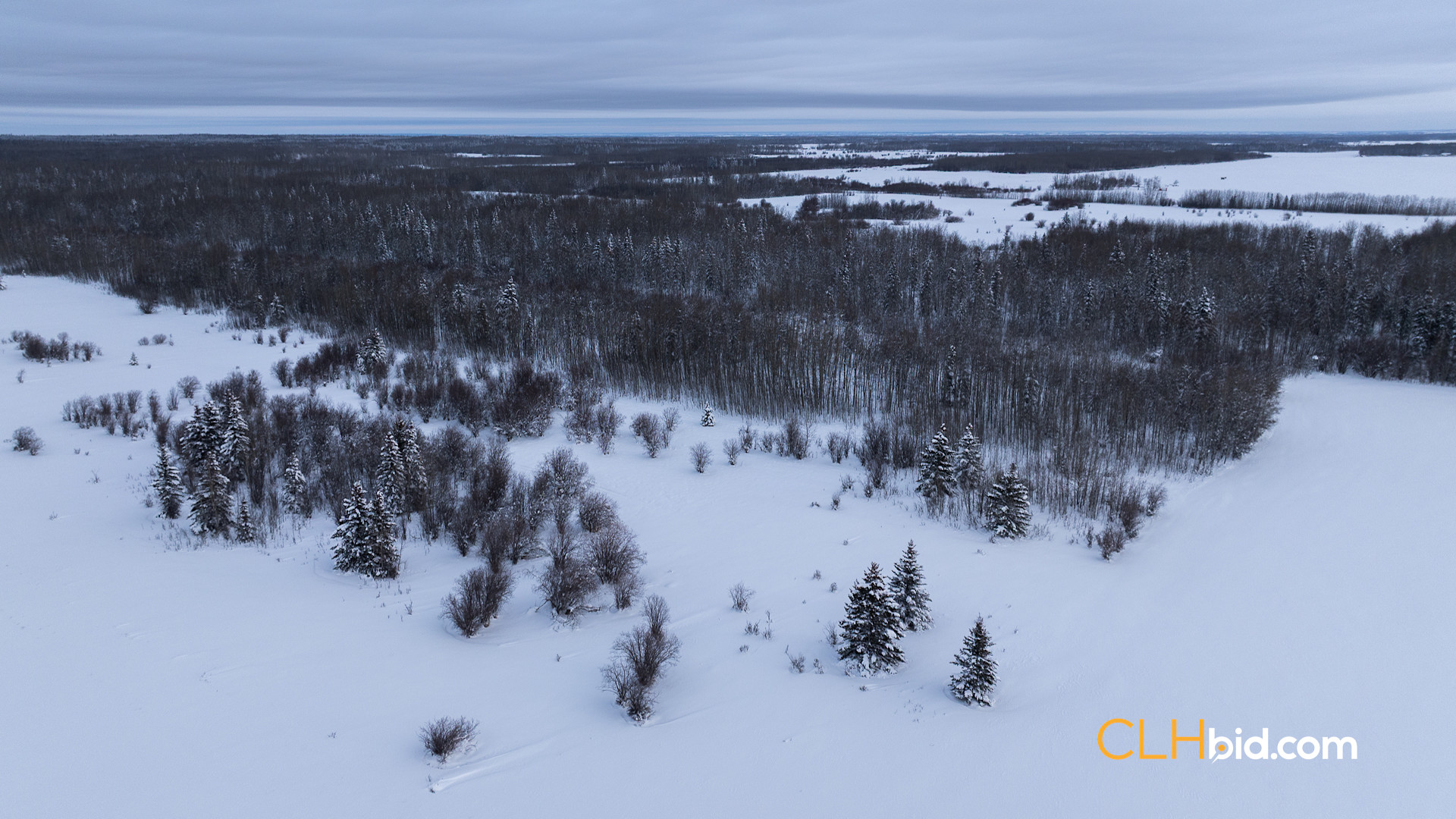 Web Moonshine Hideaway P1-3