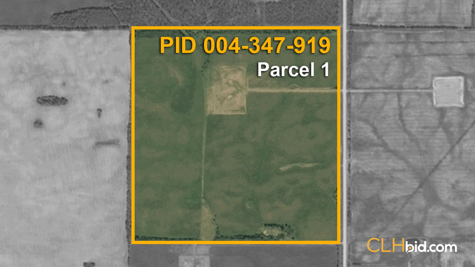 P1-PID-004-347-919