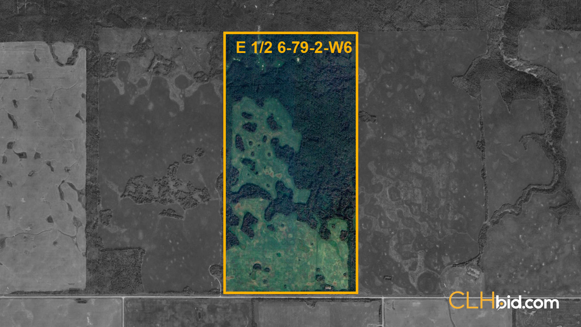 LOVELACE - WIDE - Contentful