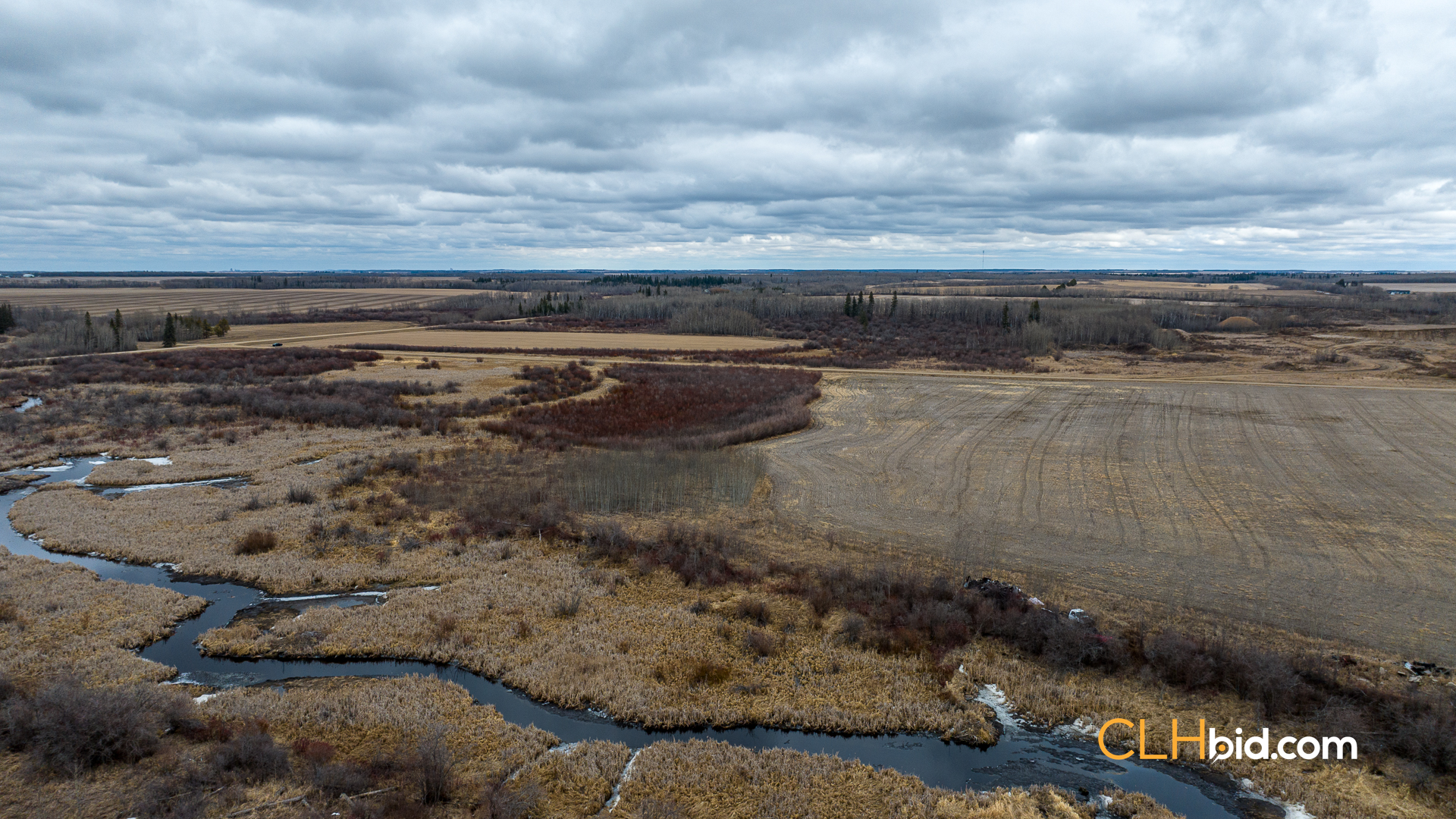 Web-Star-City-Rockstar-20