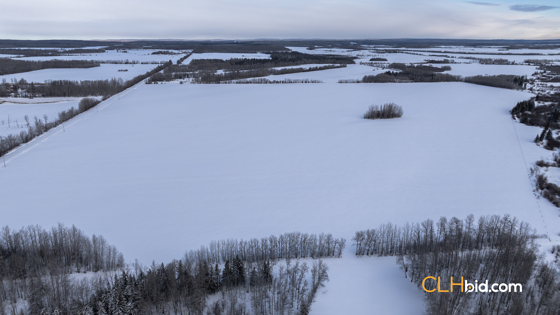 Web Unrestrained Funky-4