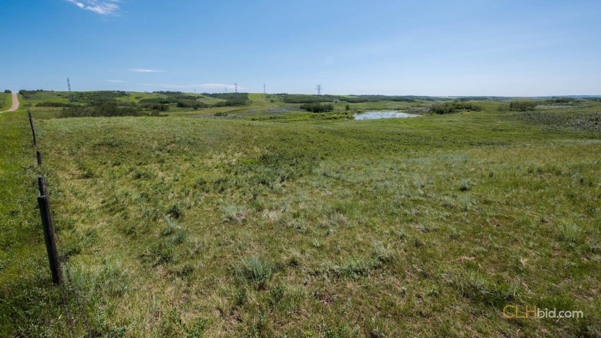 lazyadiamondranch-3-4