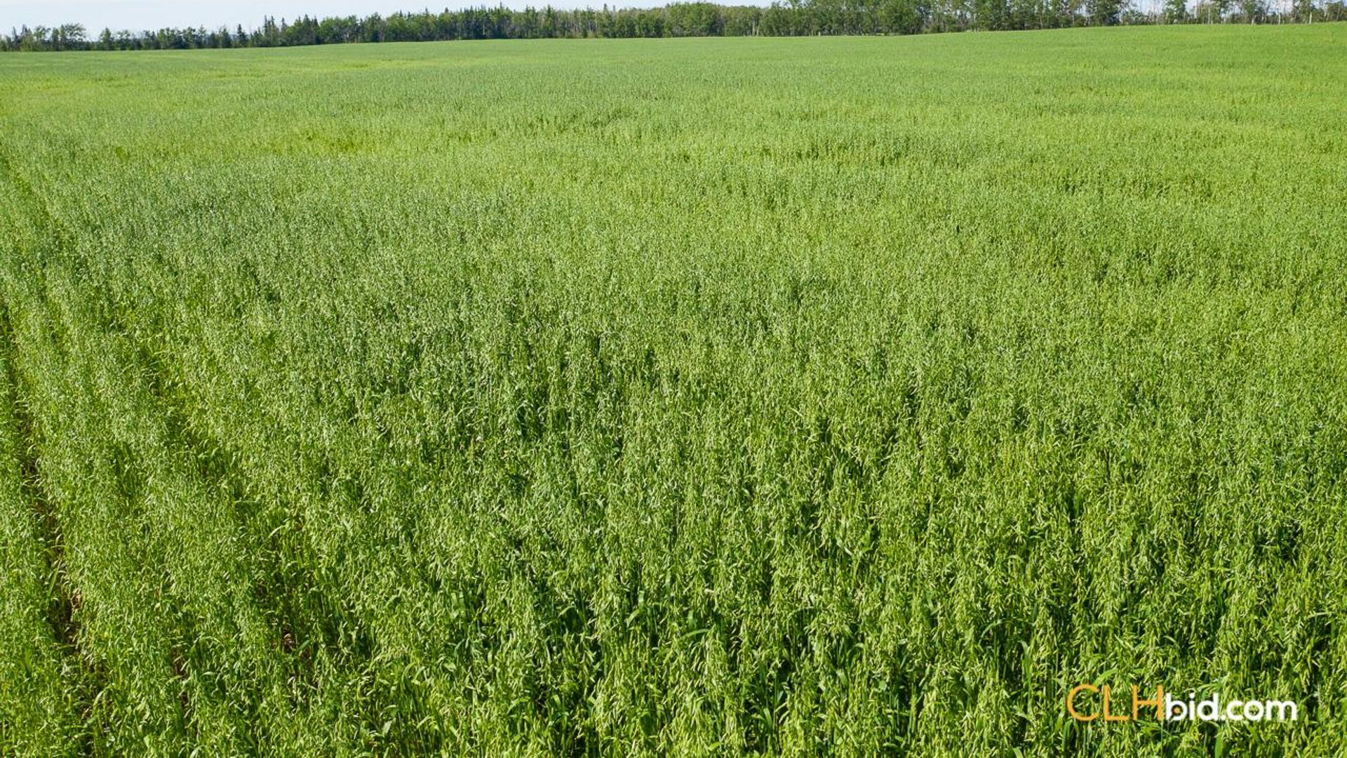 turnkeyfourthcreek-1-5