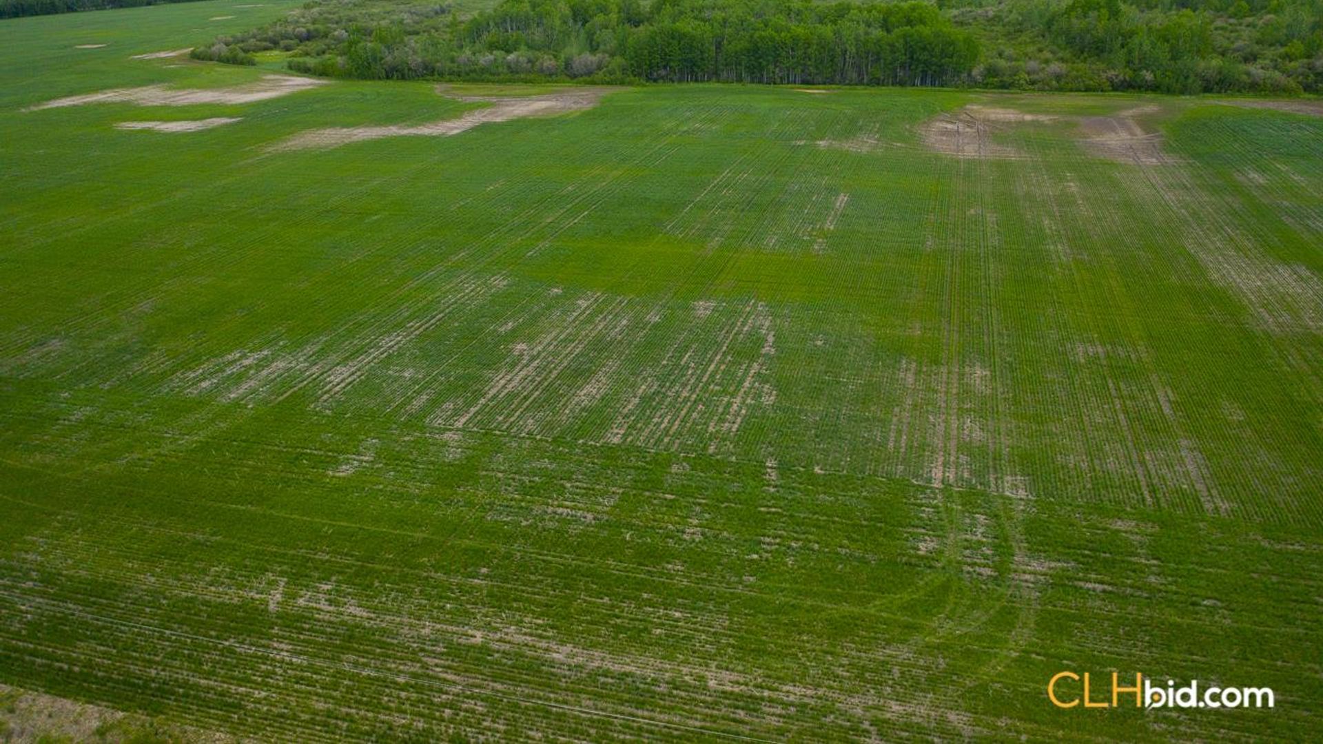 bigskymountainview-5-3