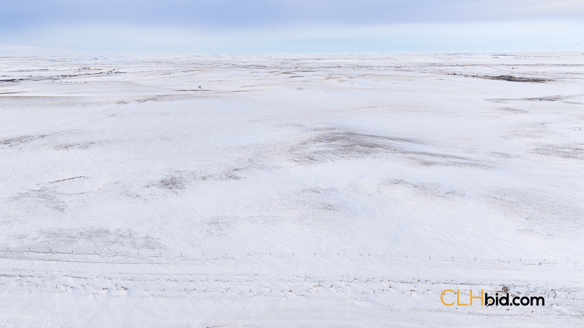 P3 Web169-AcresOfPedigree-12