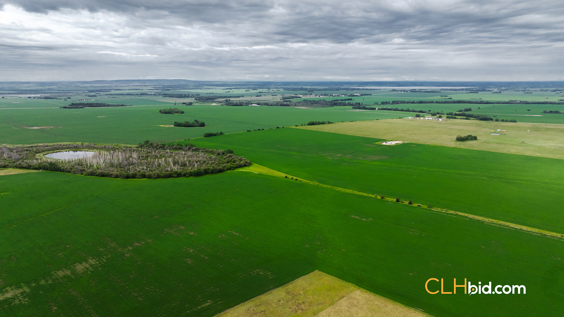 Web Triple Off Hwy 59-9
