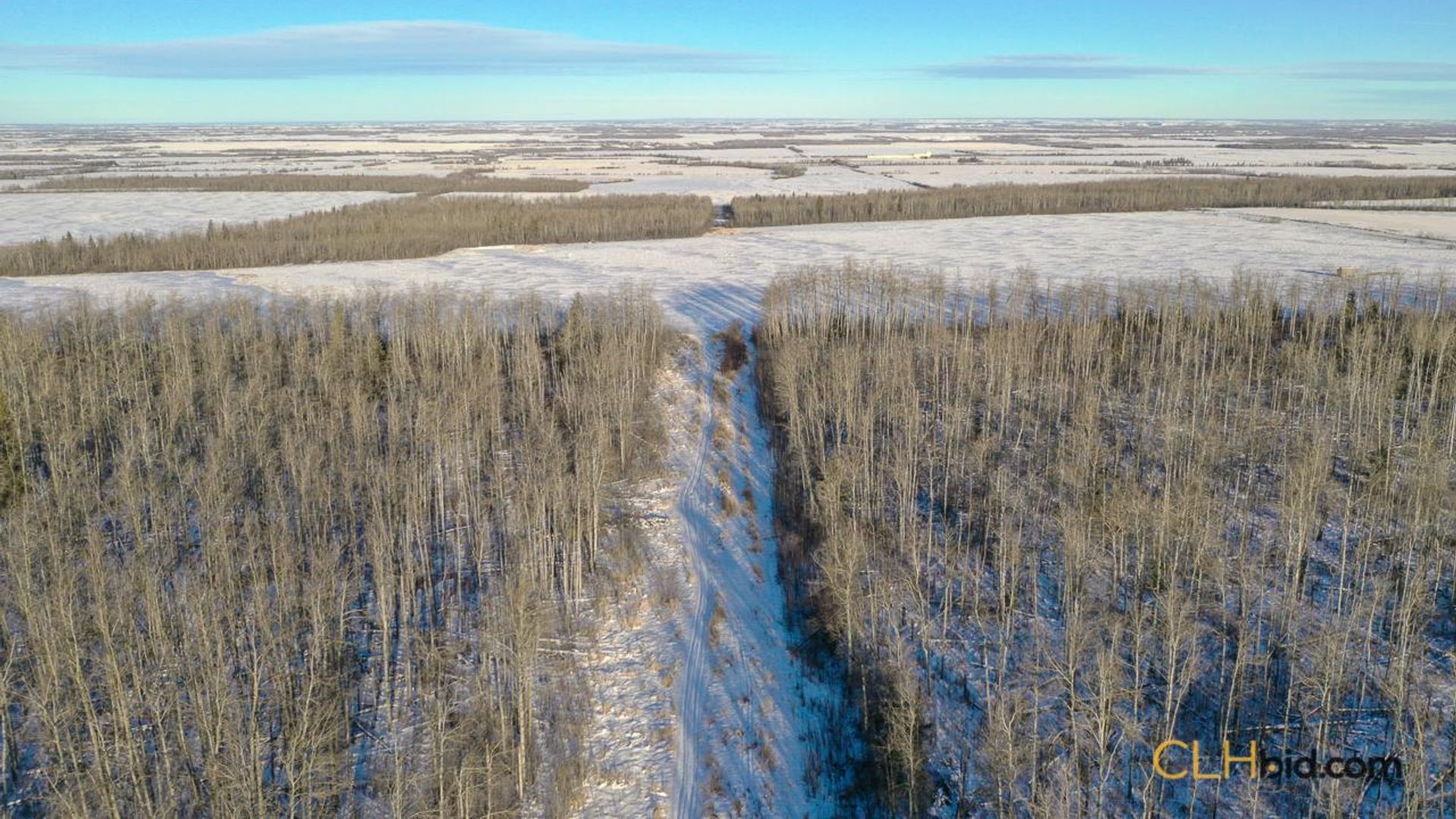 dreamershalfmile-1-15