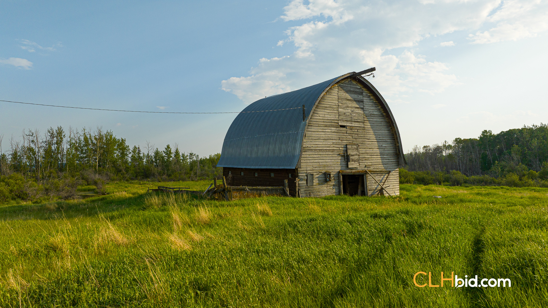 Web-WhitelawRoots-11