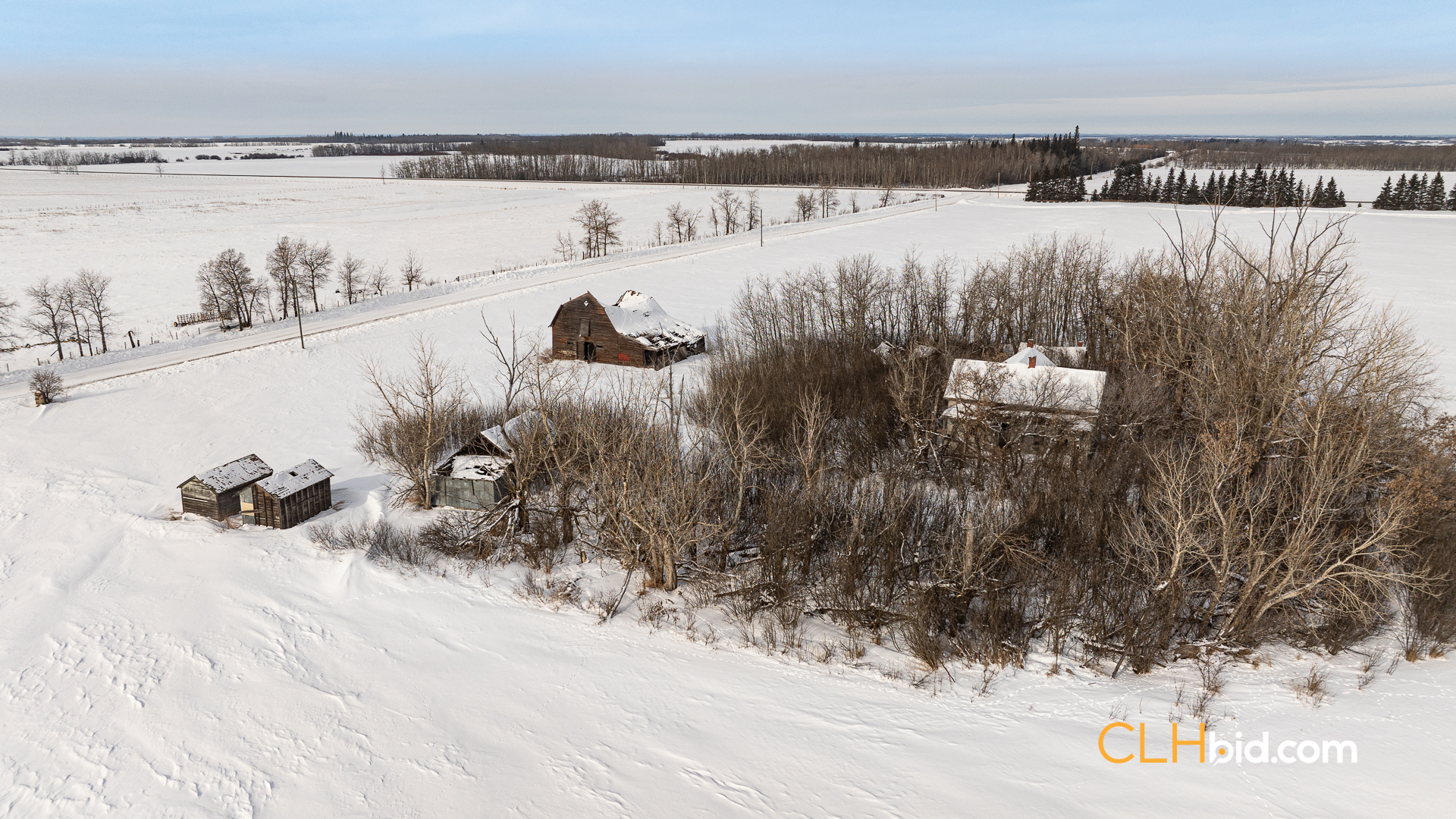 Web-LamontTopGrade-12