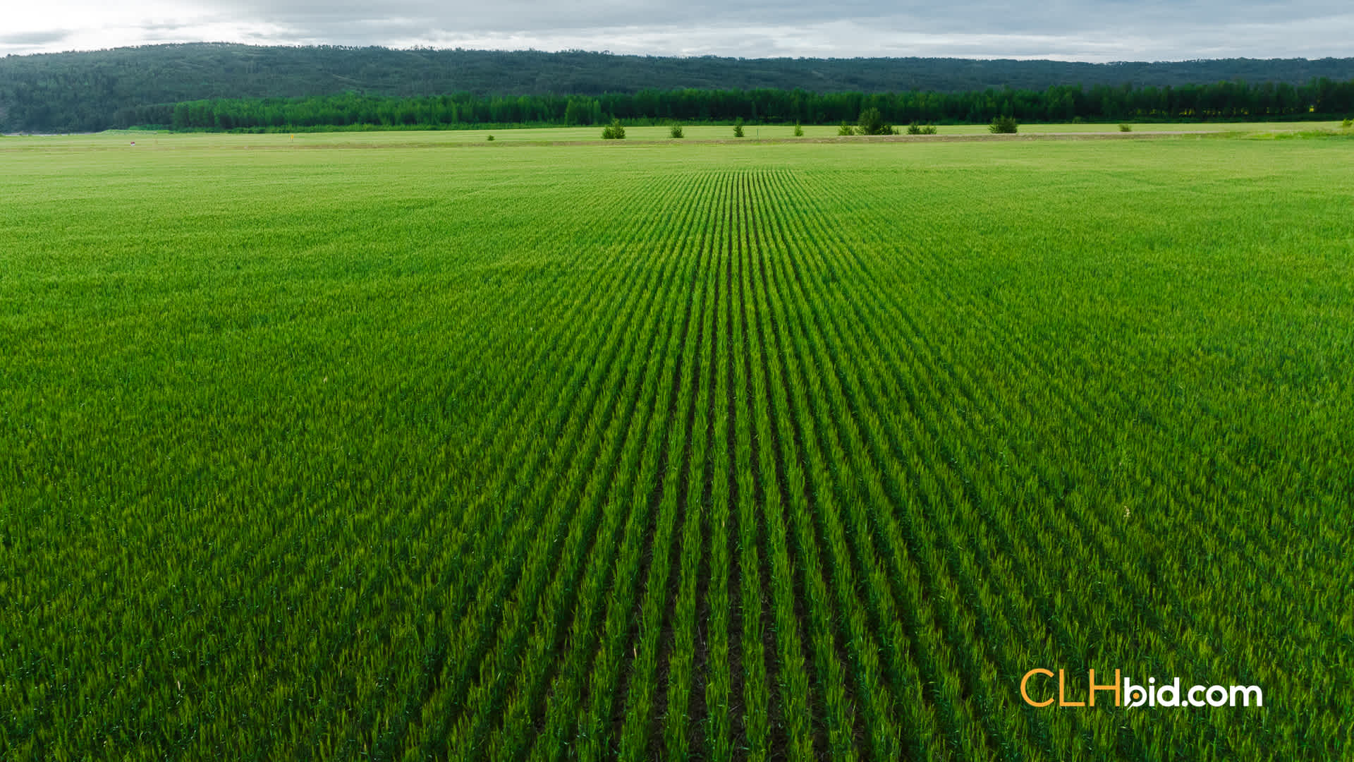 Web The West Bank-14