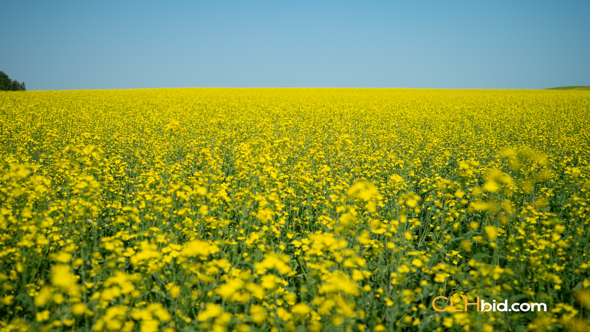 Web-InnisfreeWideOpen-3