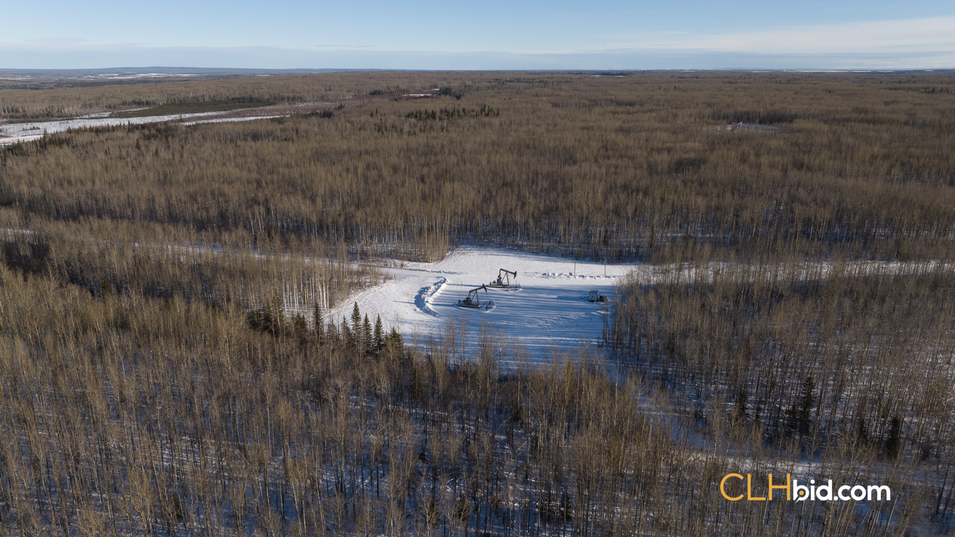 SummerCowCamp-WebWide-3