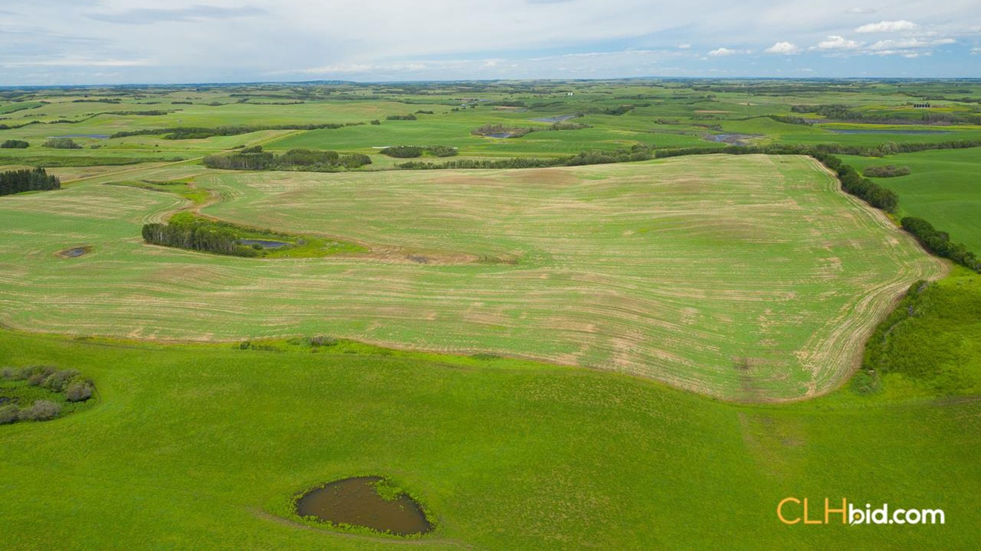 clandonaldcountrycousins-2-5