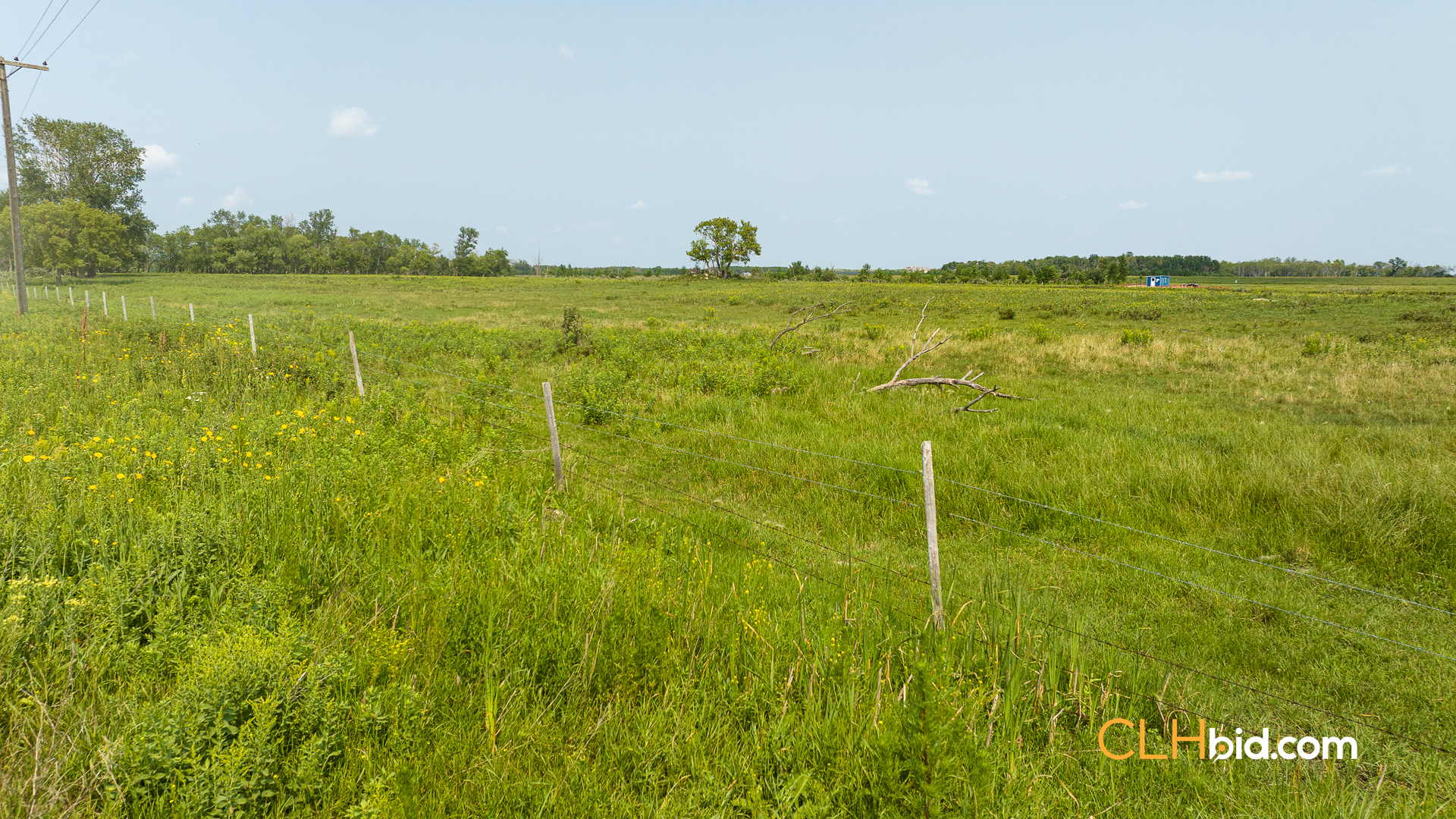 Web-Virden-Select-14