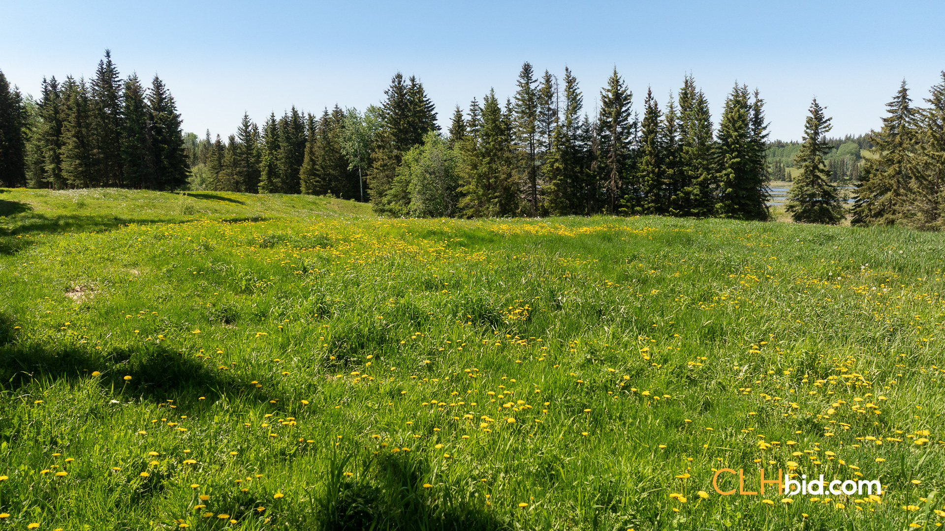 Web-CrystalWatersRanch-19