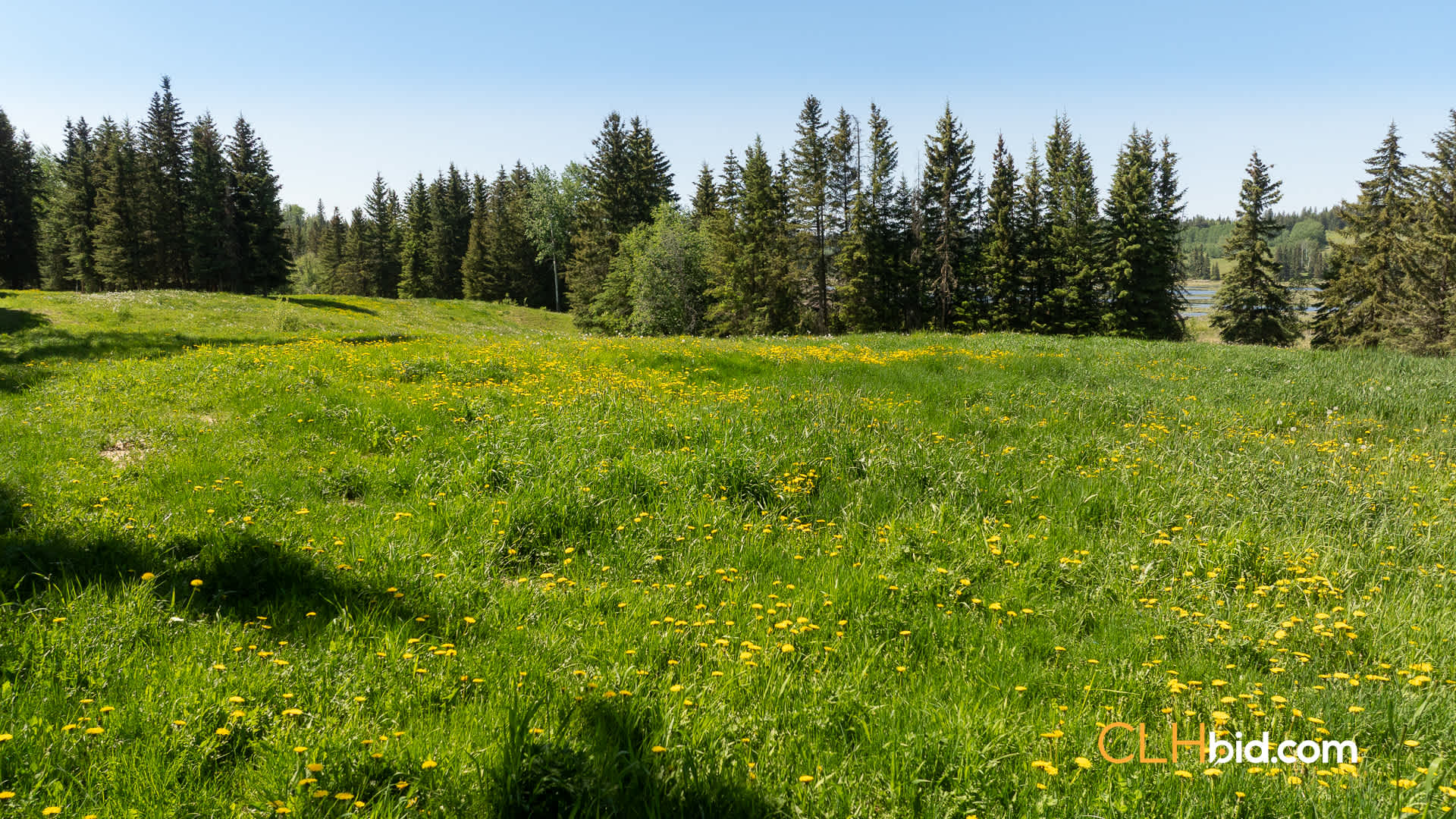 Web-CrystalWatersRanch-19