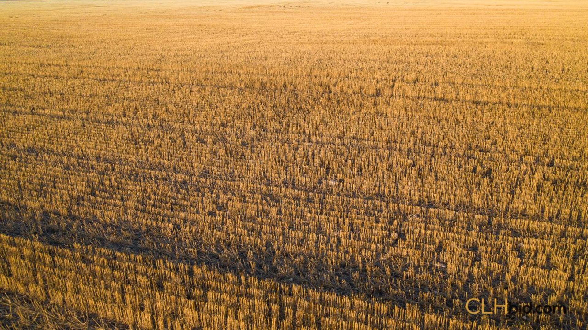 produceronpavement519-1-5