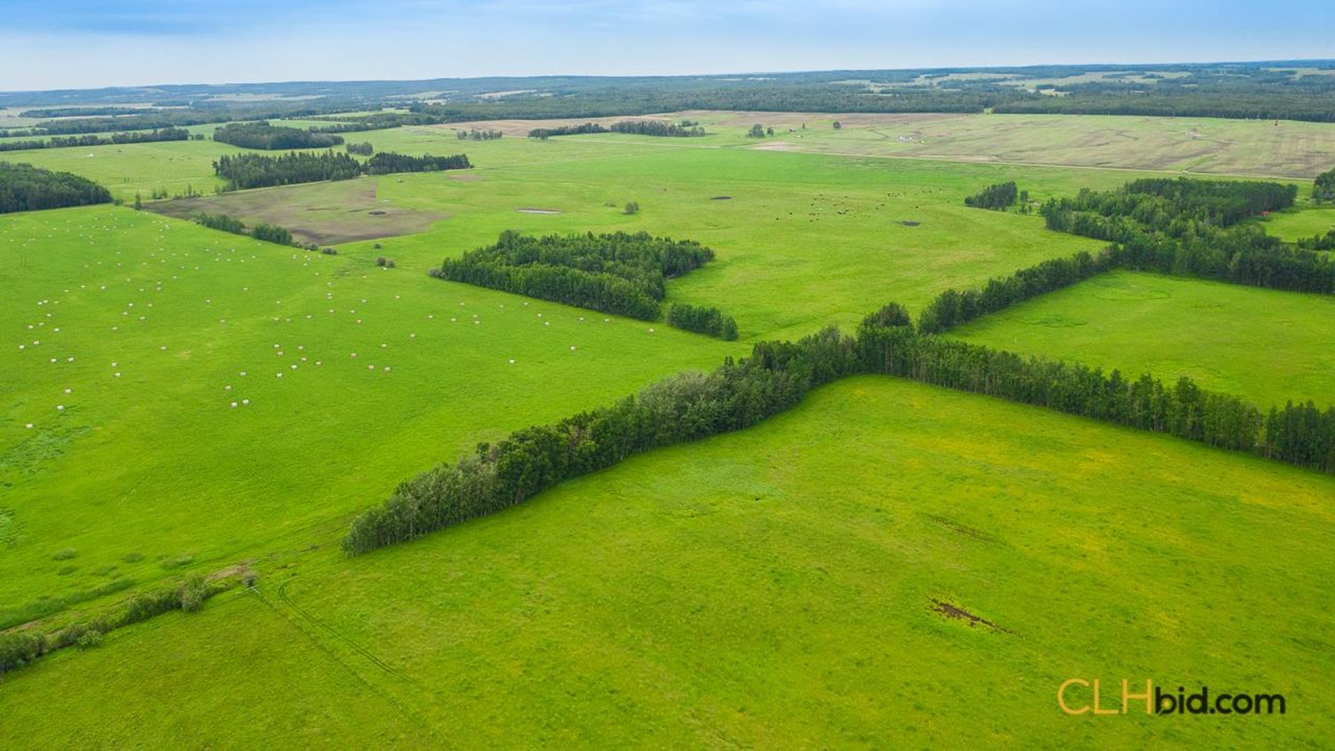 warburgdoubletree-2-11