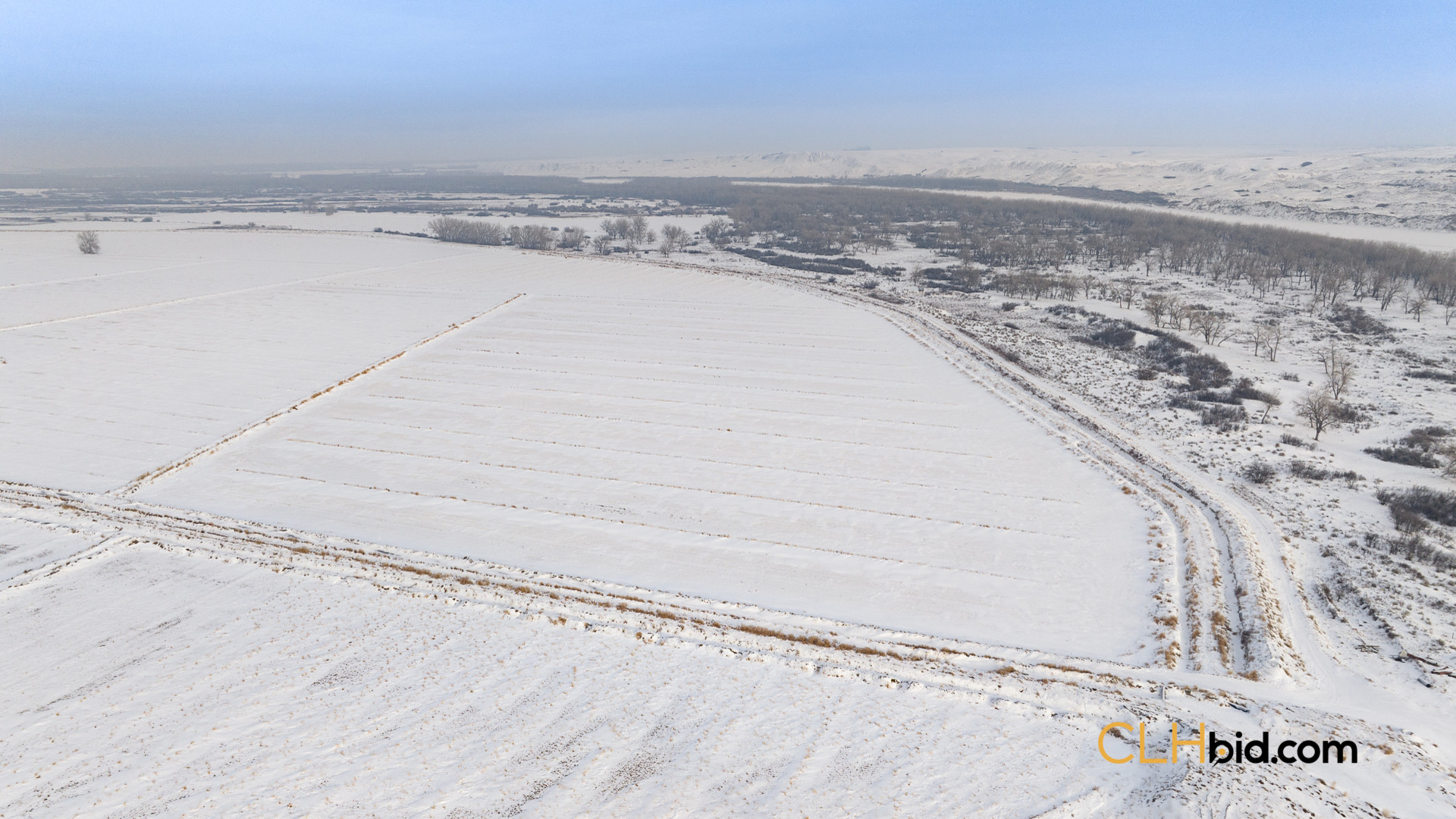 P1 Web169-AcresOfPedigree-71