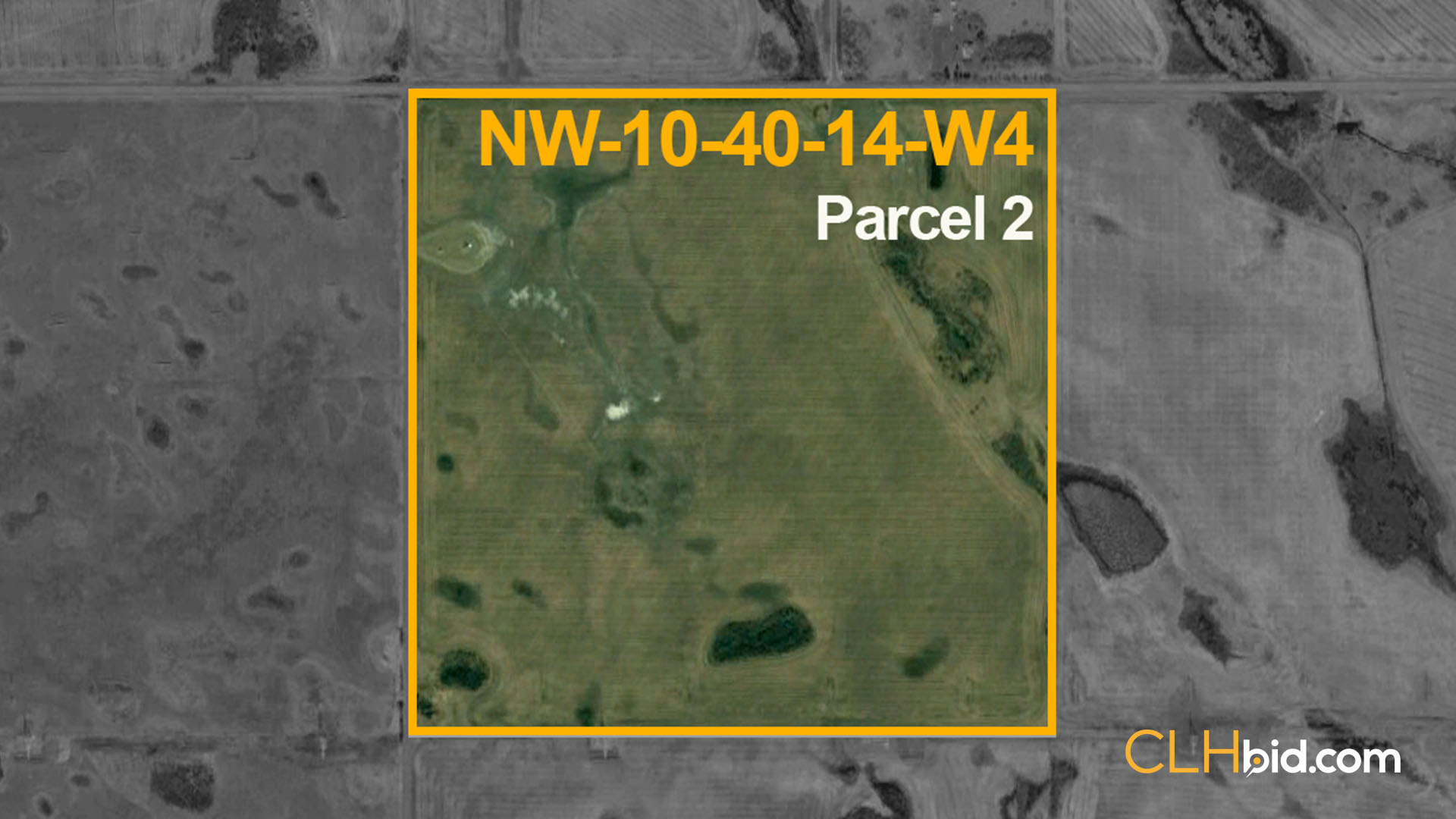 KISSICK P2 - WIDE - Contentful