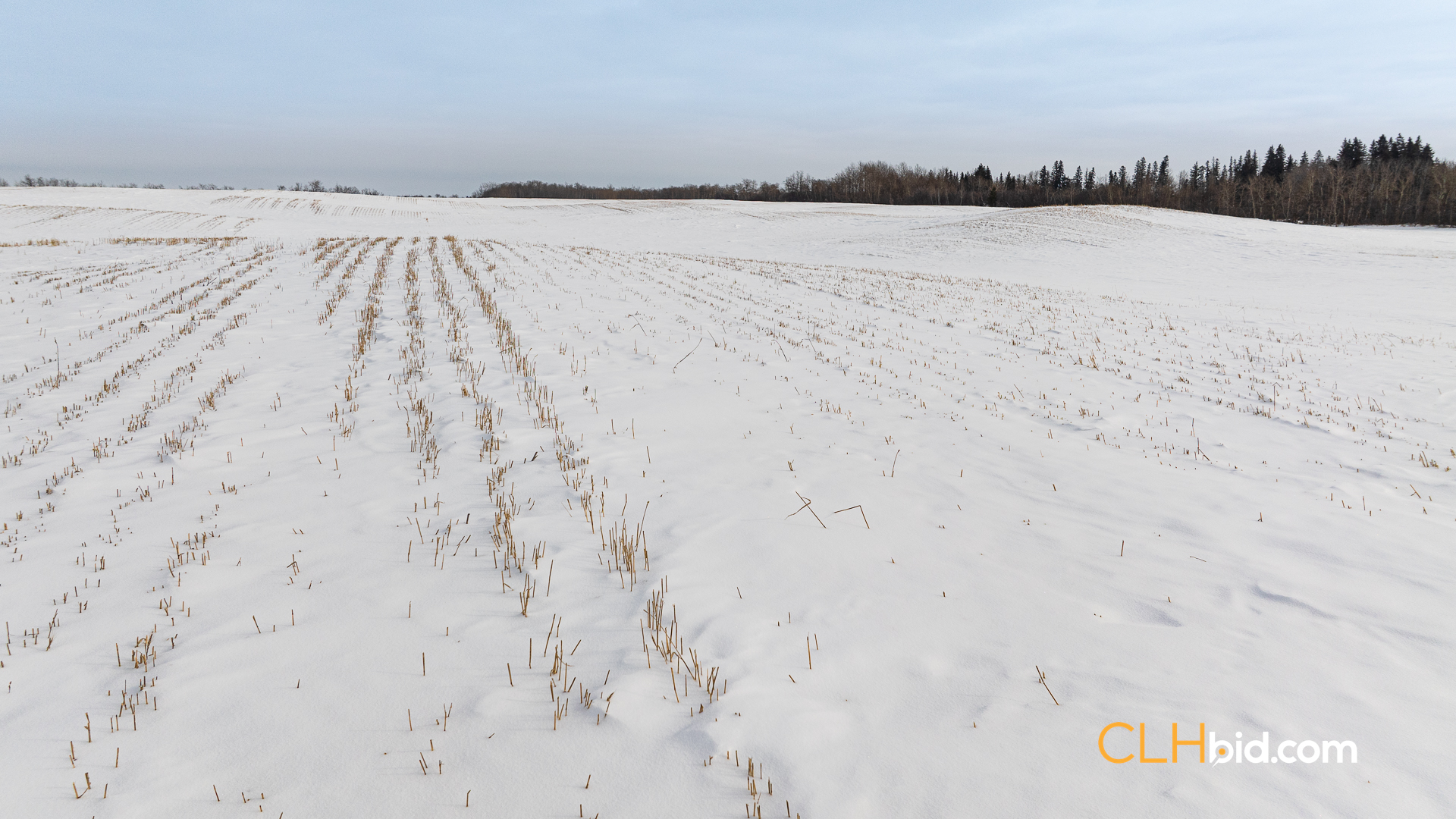 Web-LamontTopGrade-30