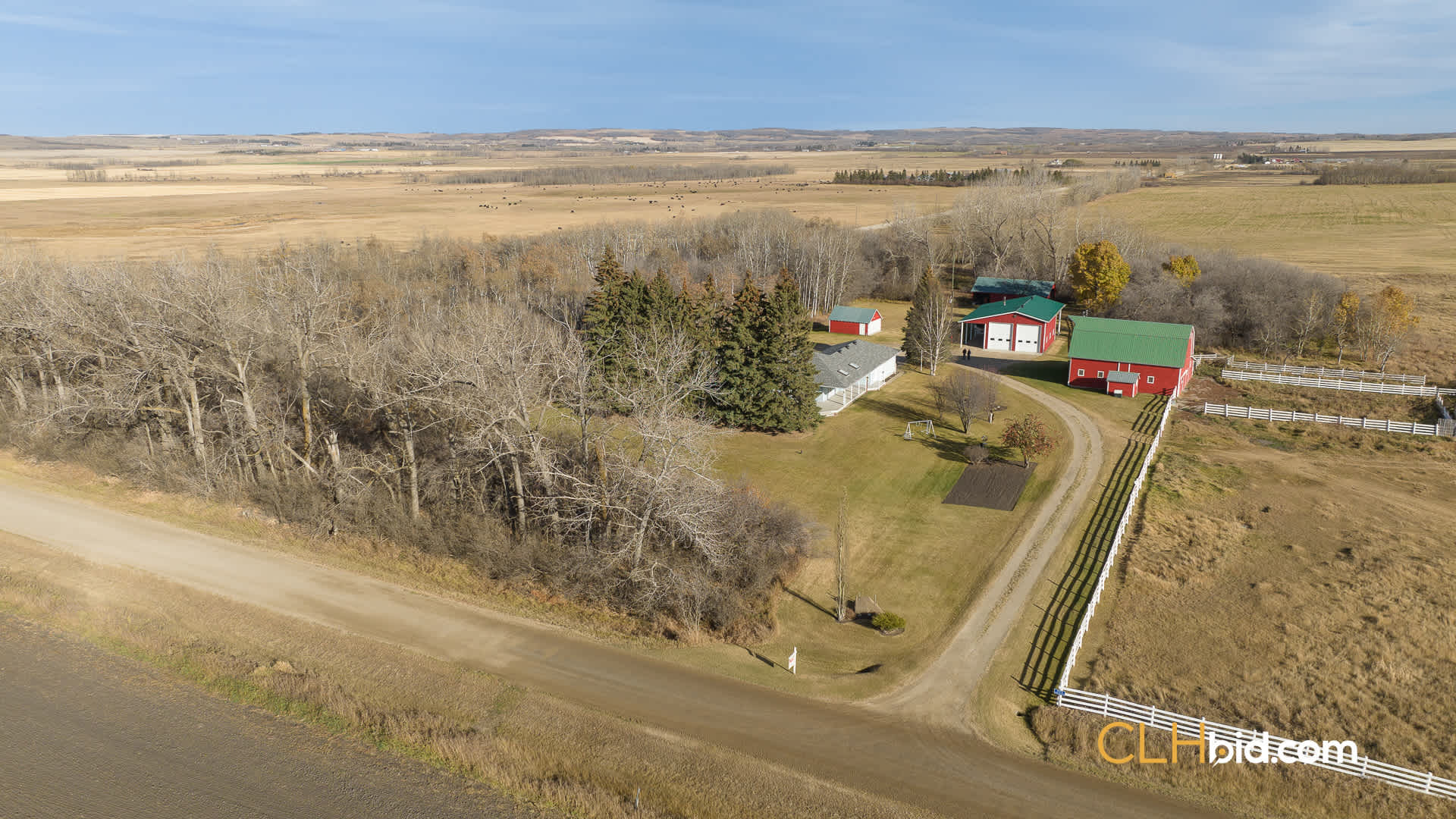 P2 EliteStatusWeb-29