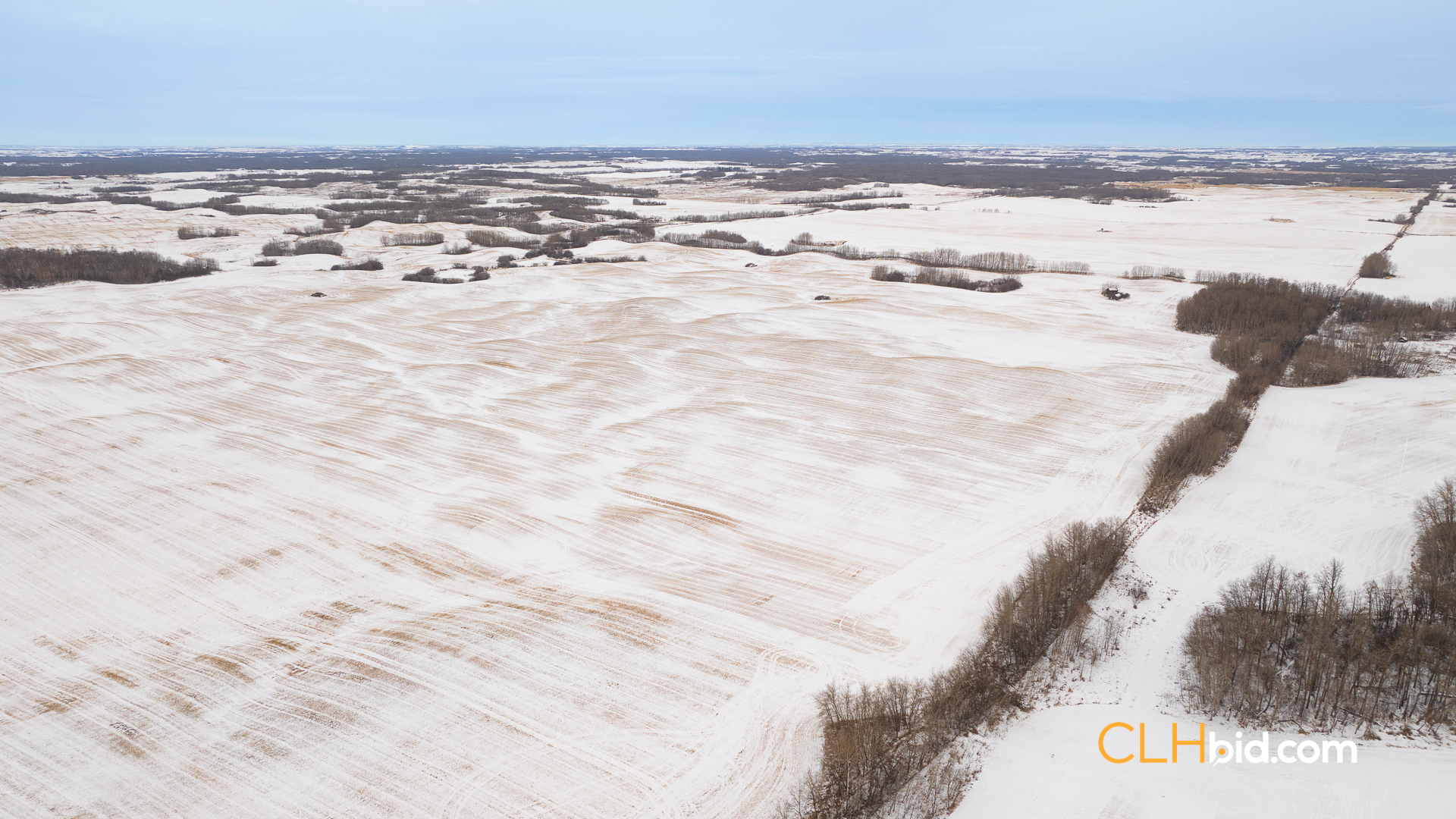 Web-InnisfreeBonus-3