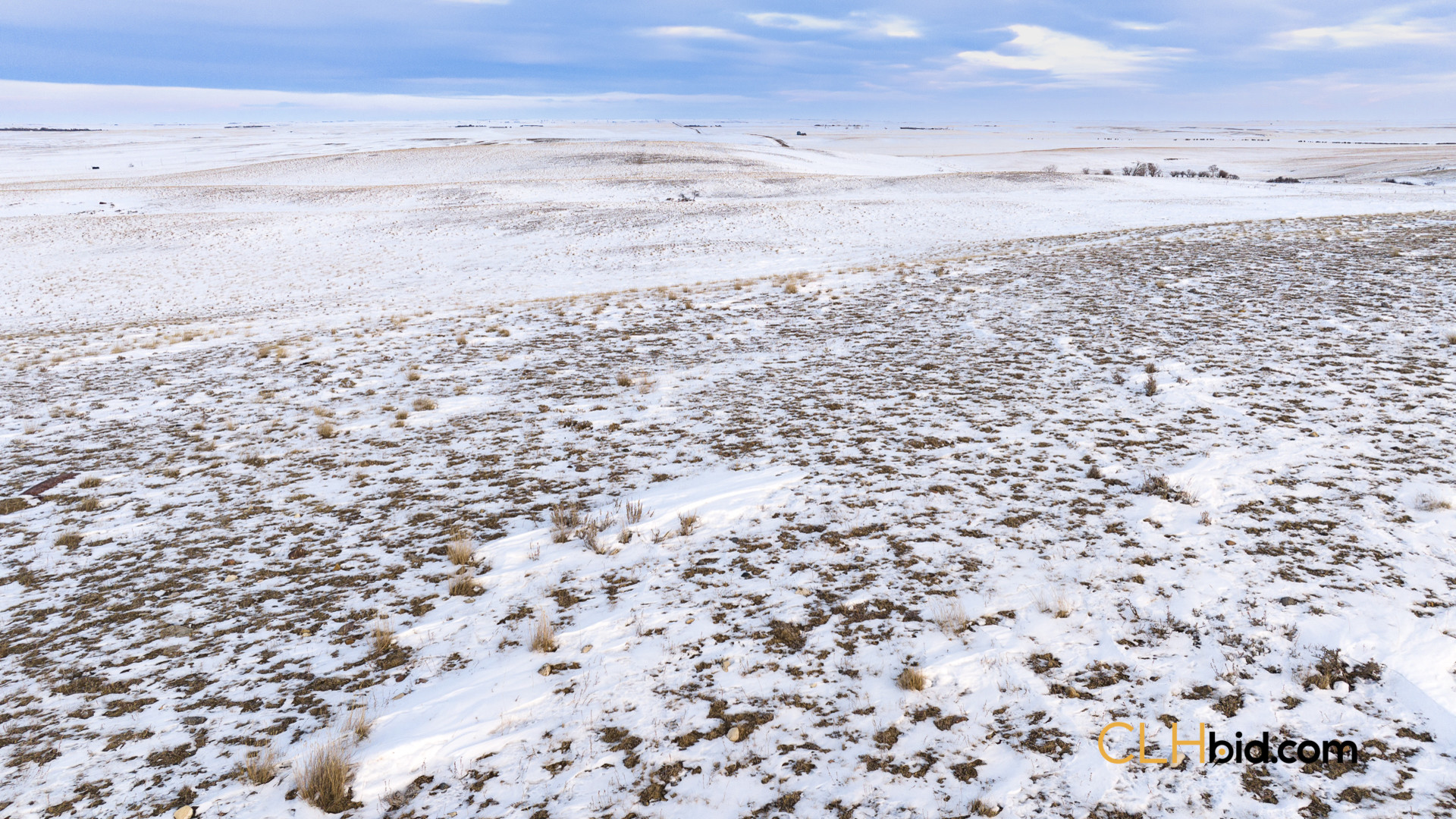 P3 Web169-AcresOfPedigree-15