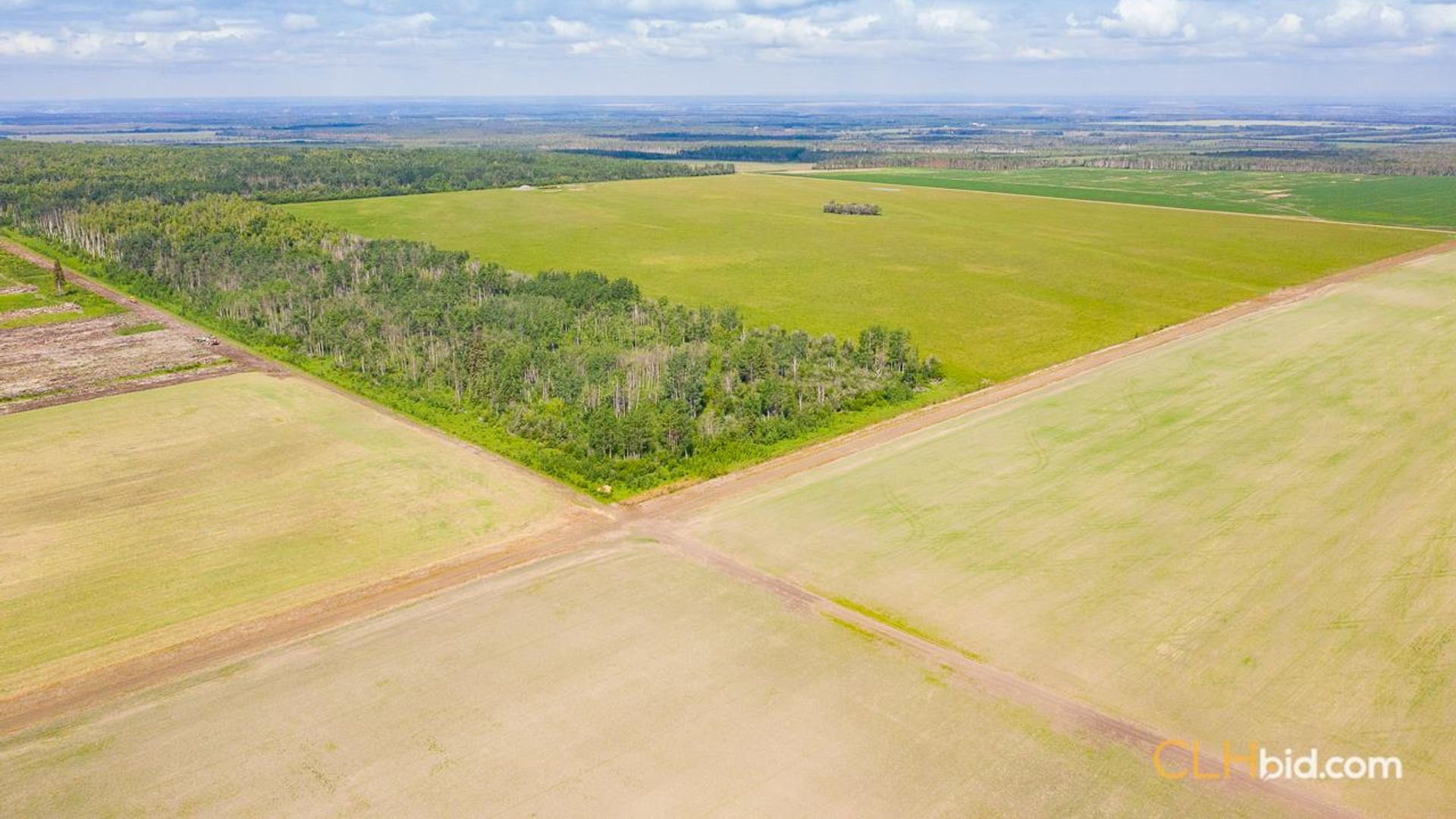 silvervalleydiamondintherough-2-2