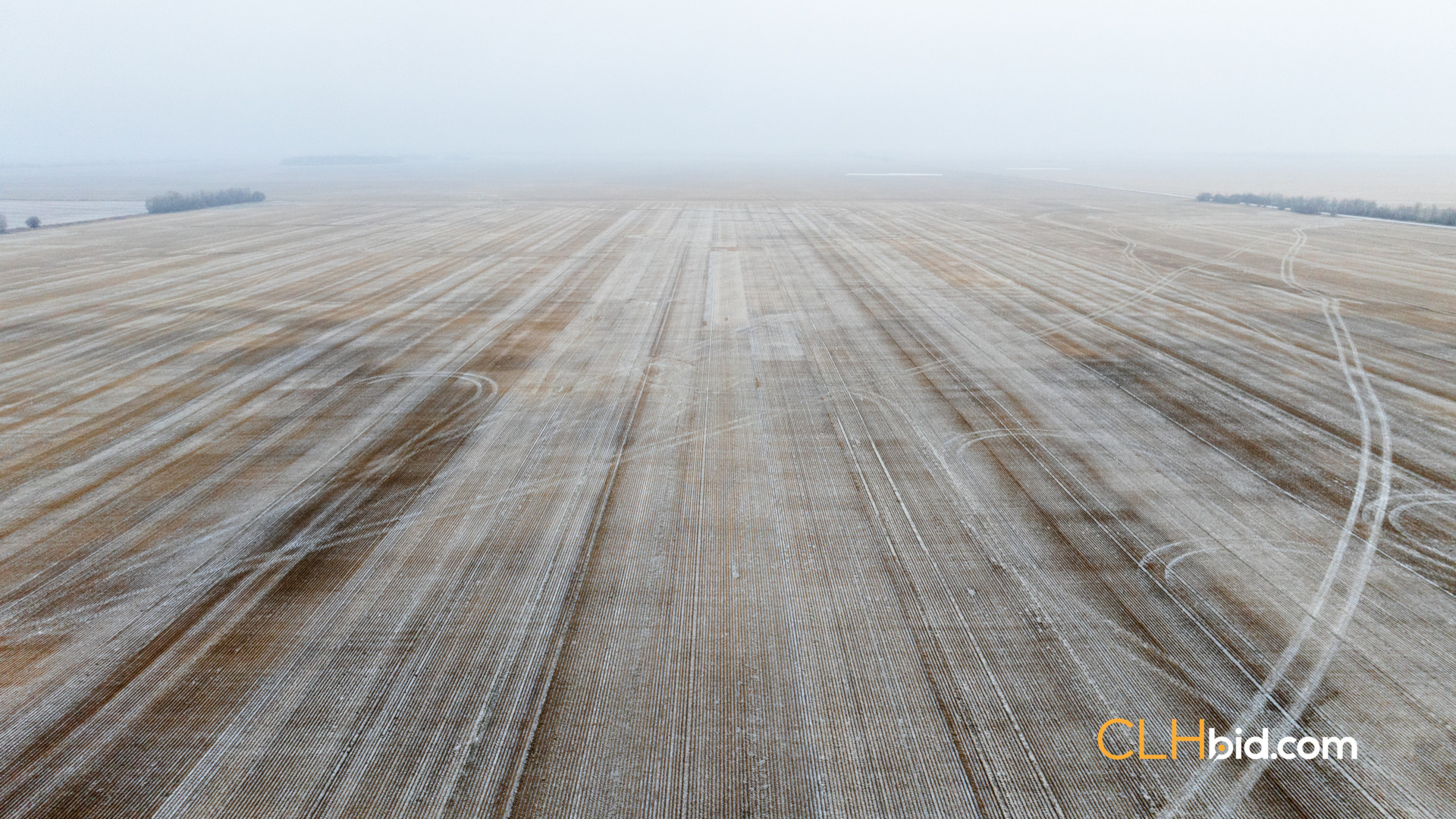 Web Tangent Bounty-5