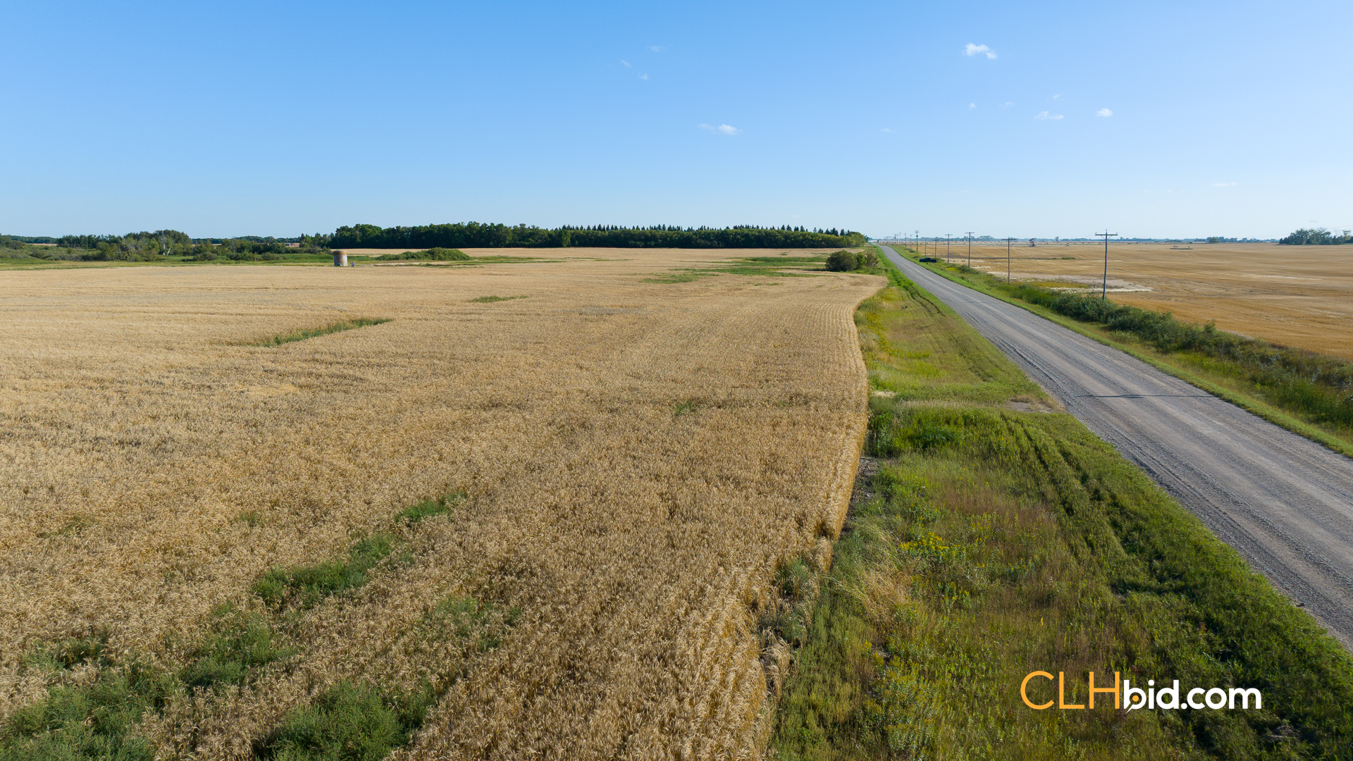 Web-Virden2-15
