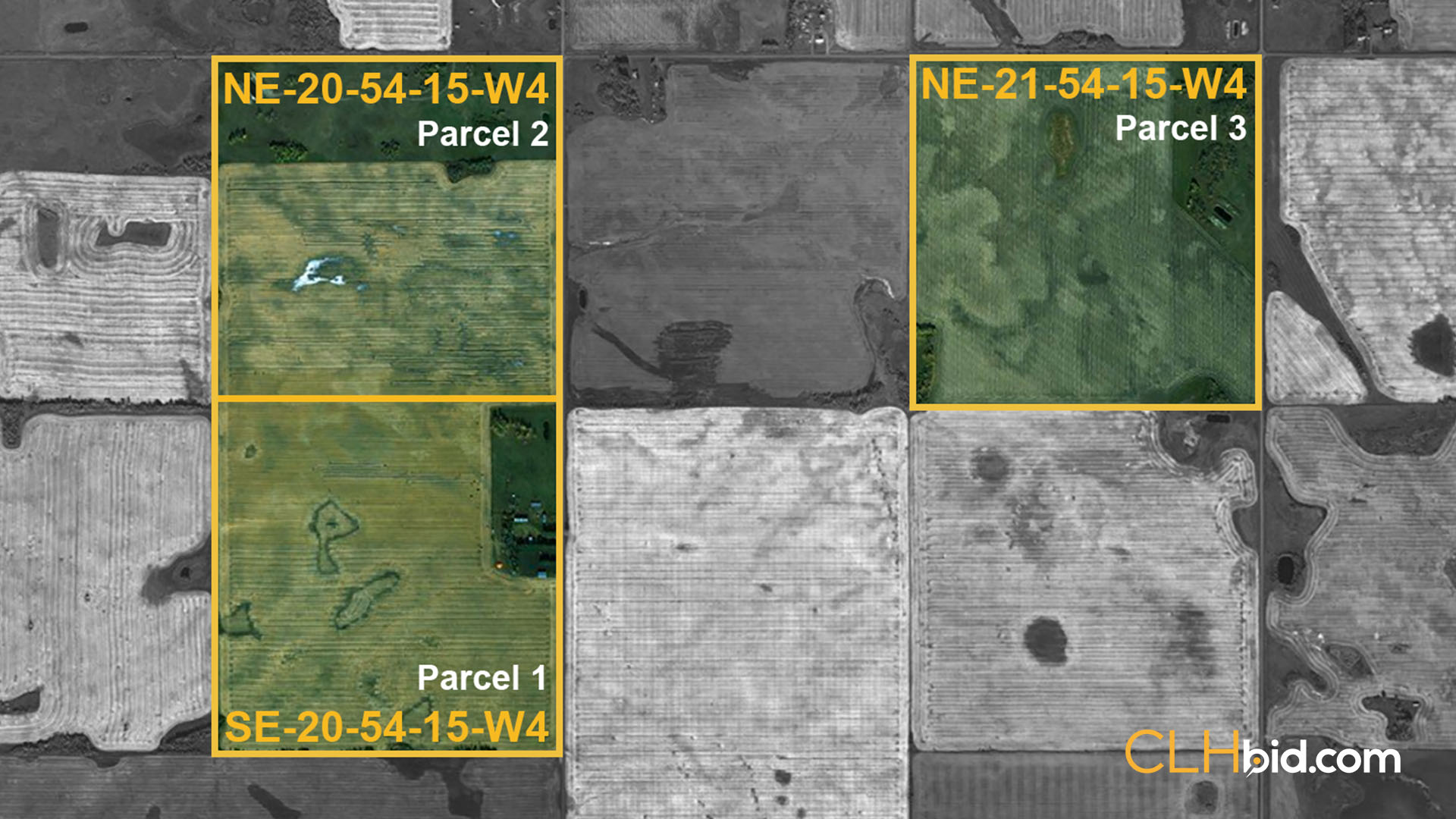 SOROCHAK - WIDE - Contentful