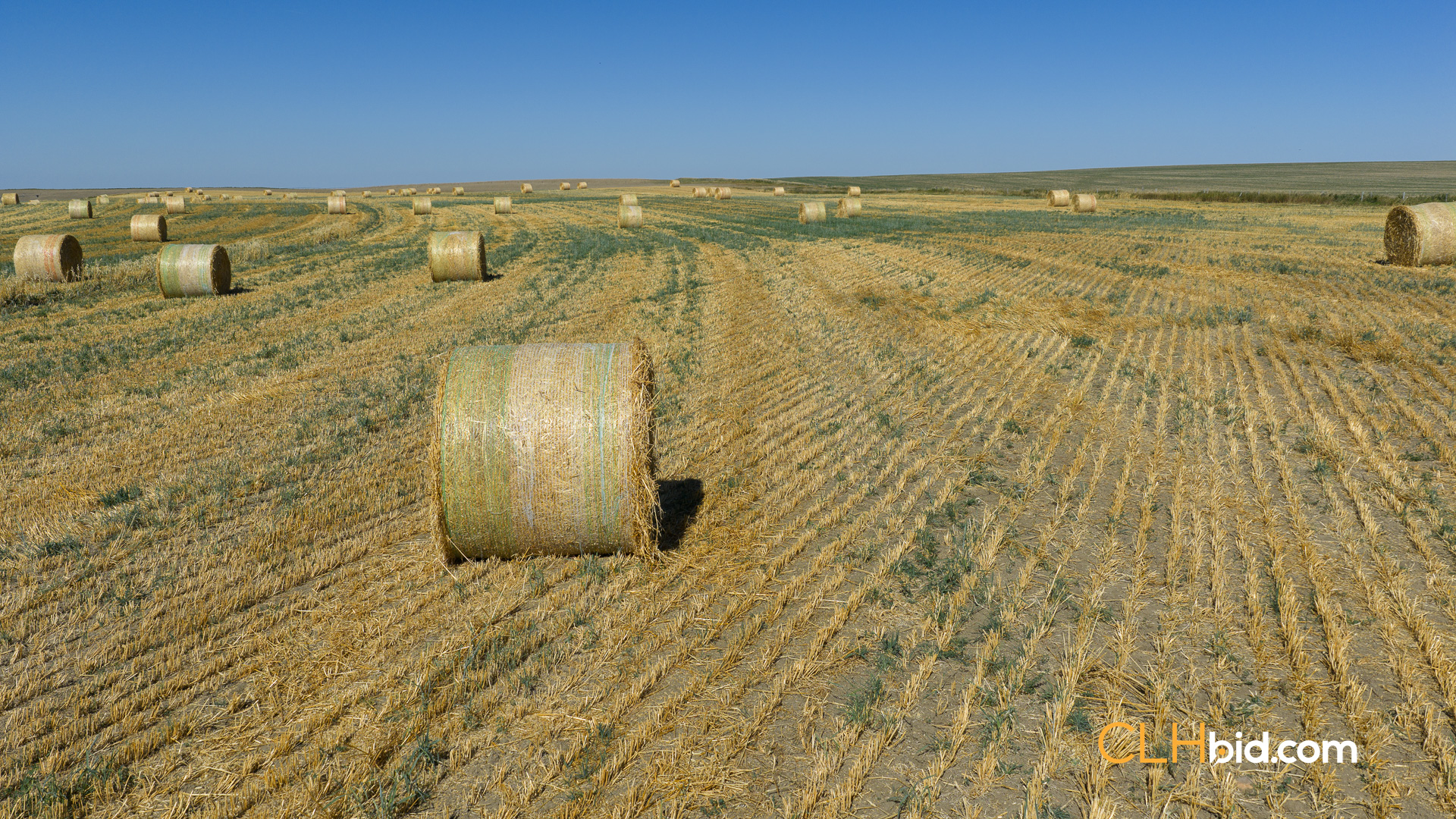 Web-MegaFortyMile-54