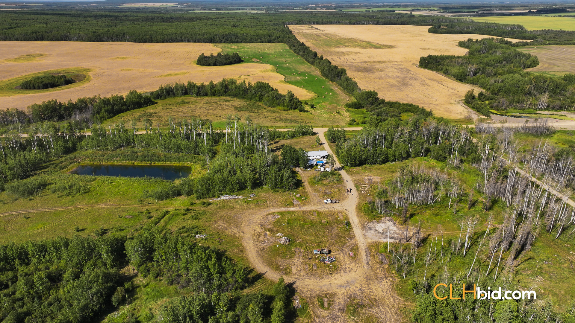 Web Talking Trees 16