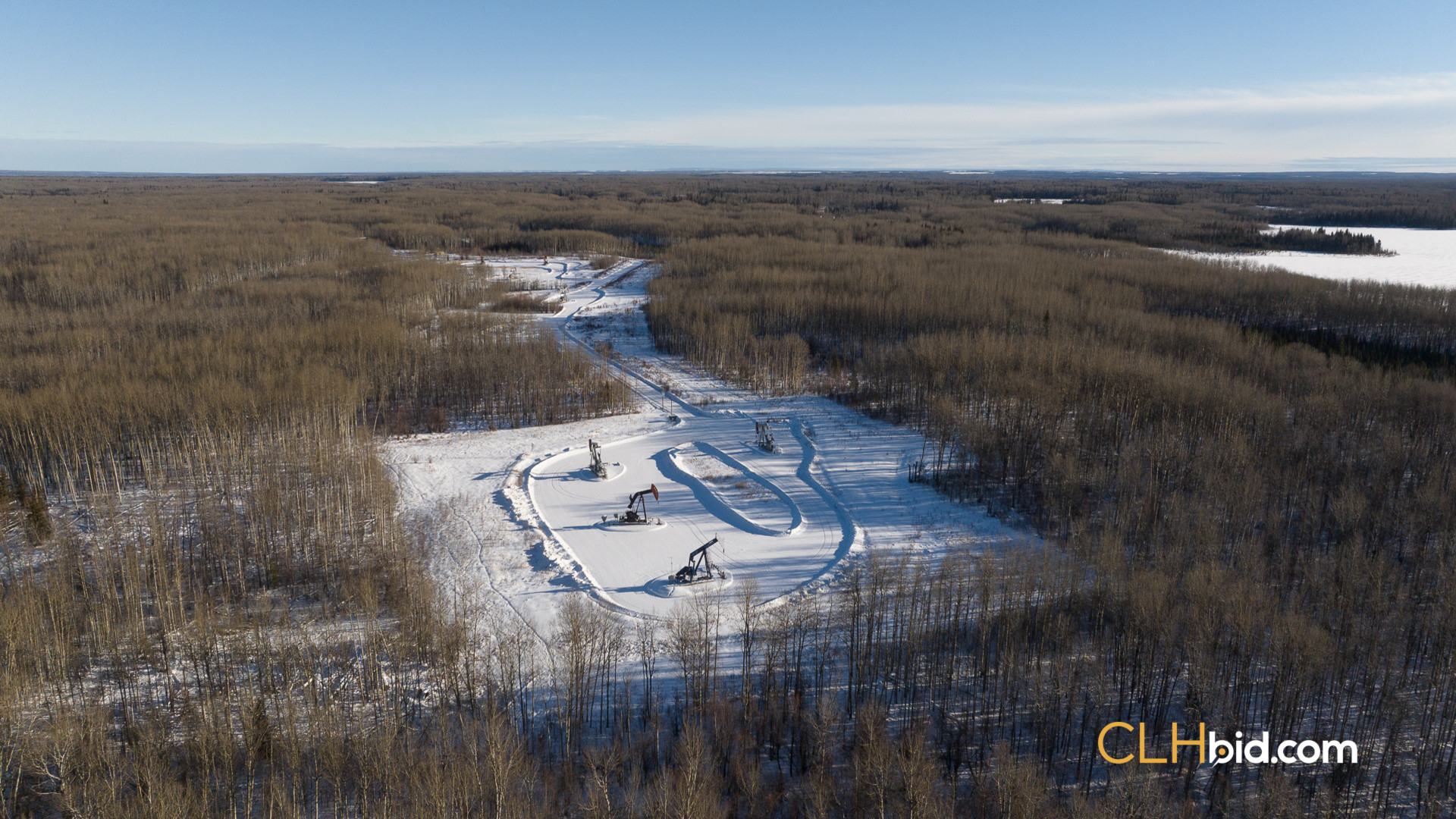 SummerCowCamp-WebWide-1