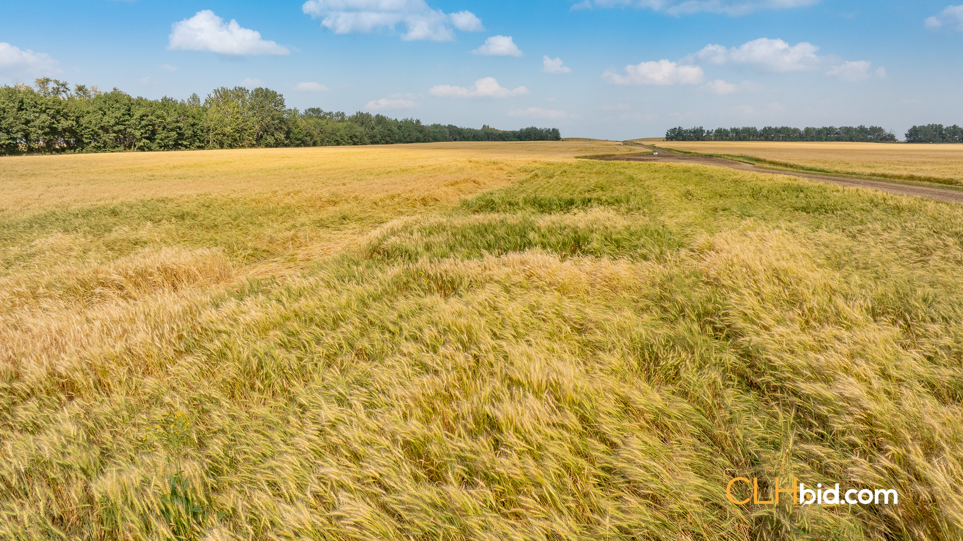 Web-CountyLineInvestor-10