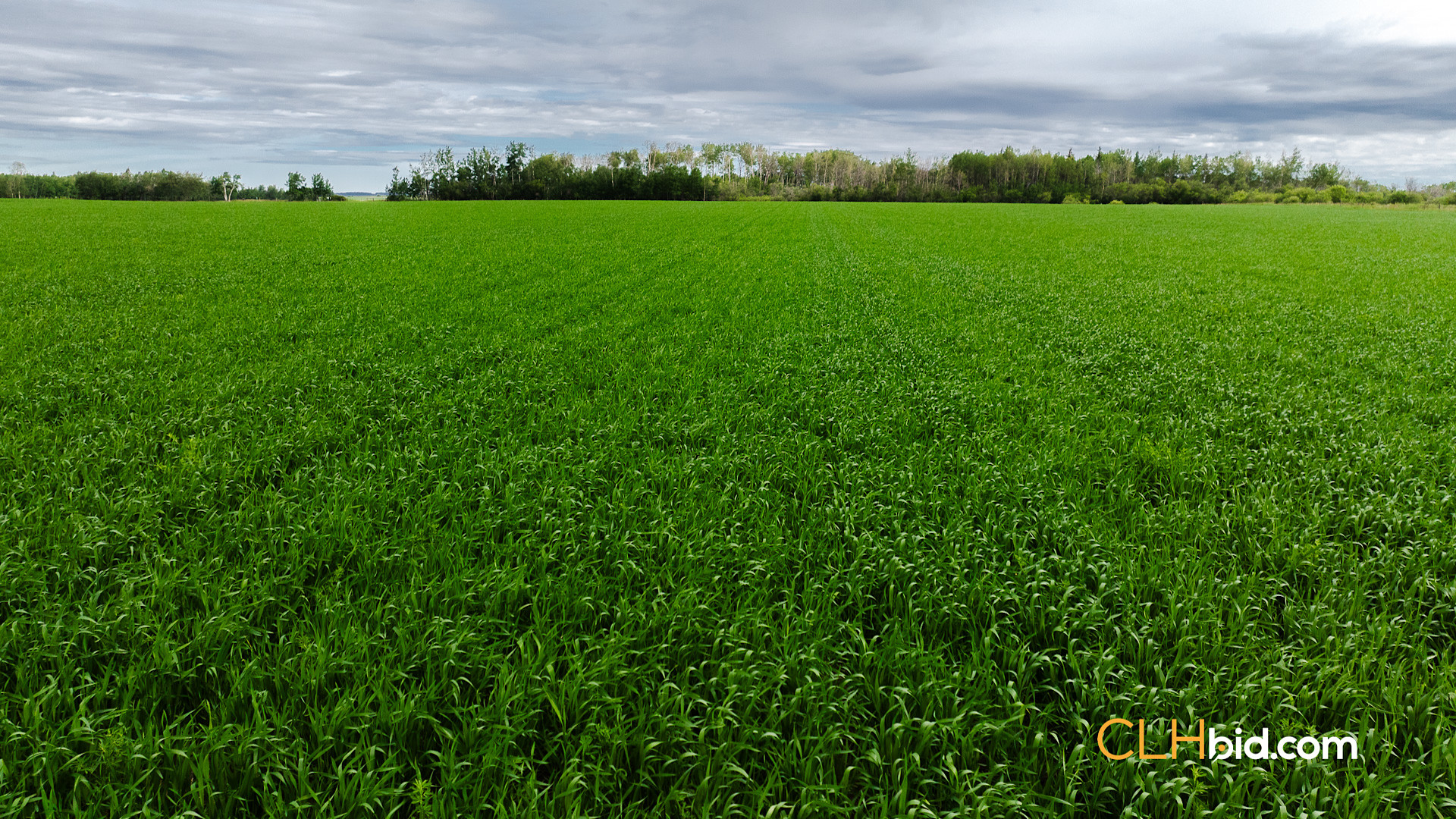 Web Triple Off Hwy 59-7