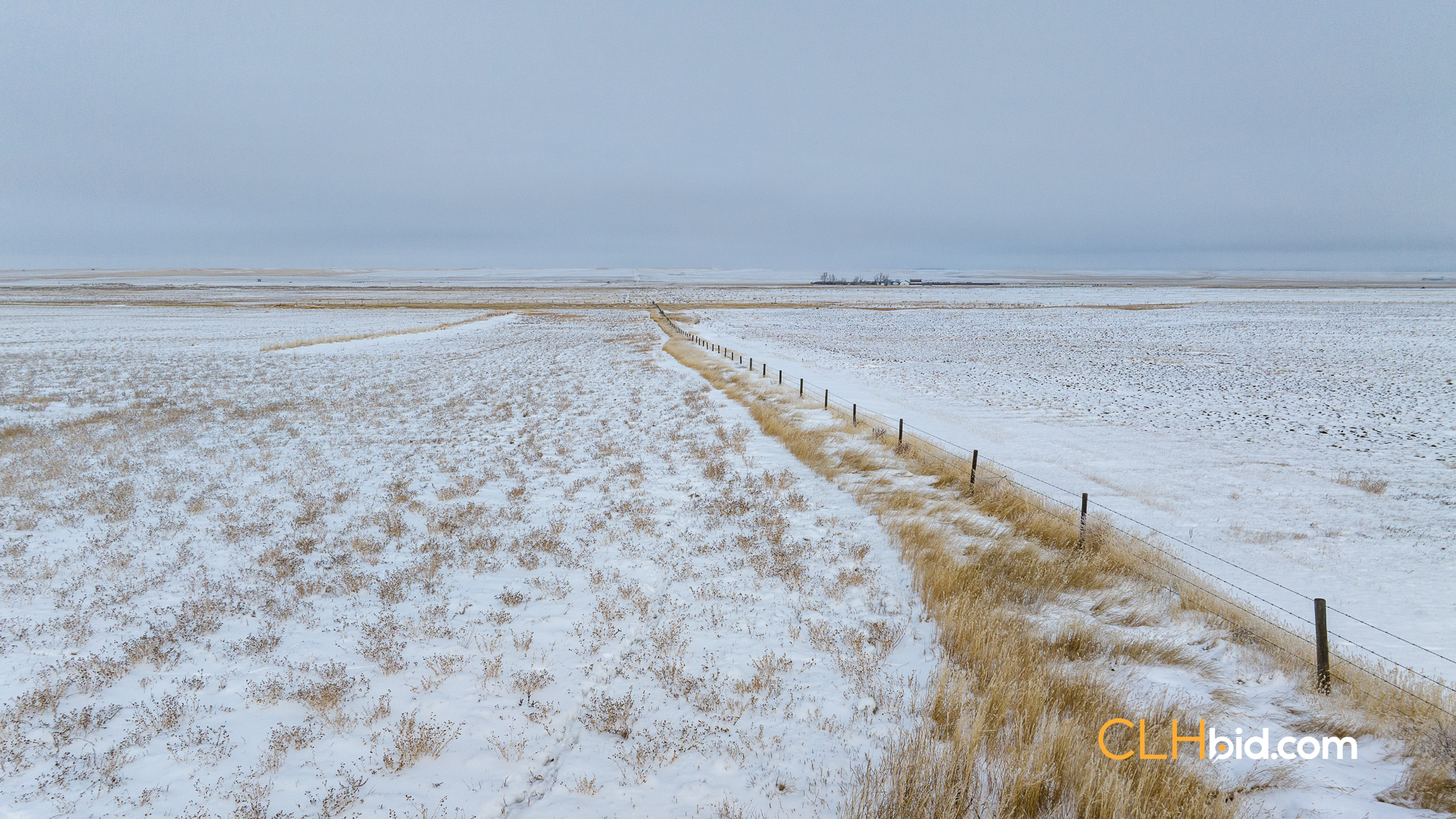 Web-Hazenmore-On-My-Mind-14