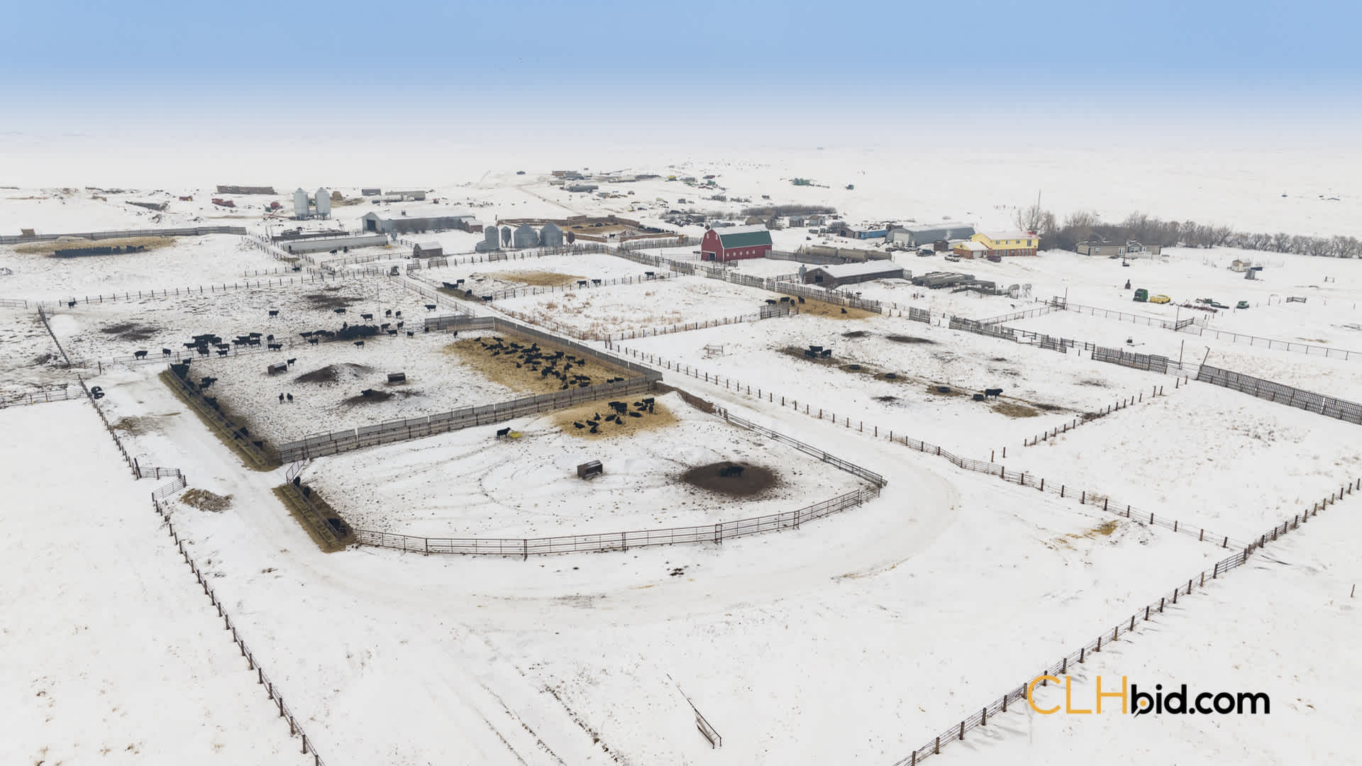 View from above of Acres of Pedigree