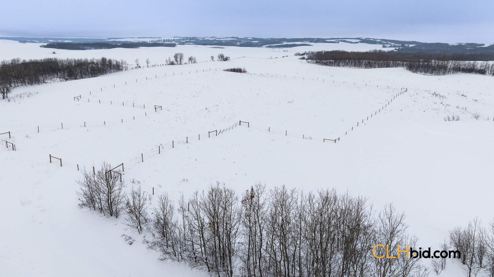 Web169-SKHeartland-8