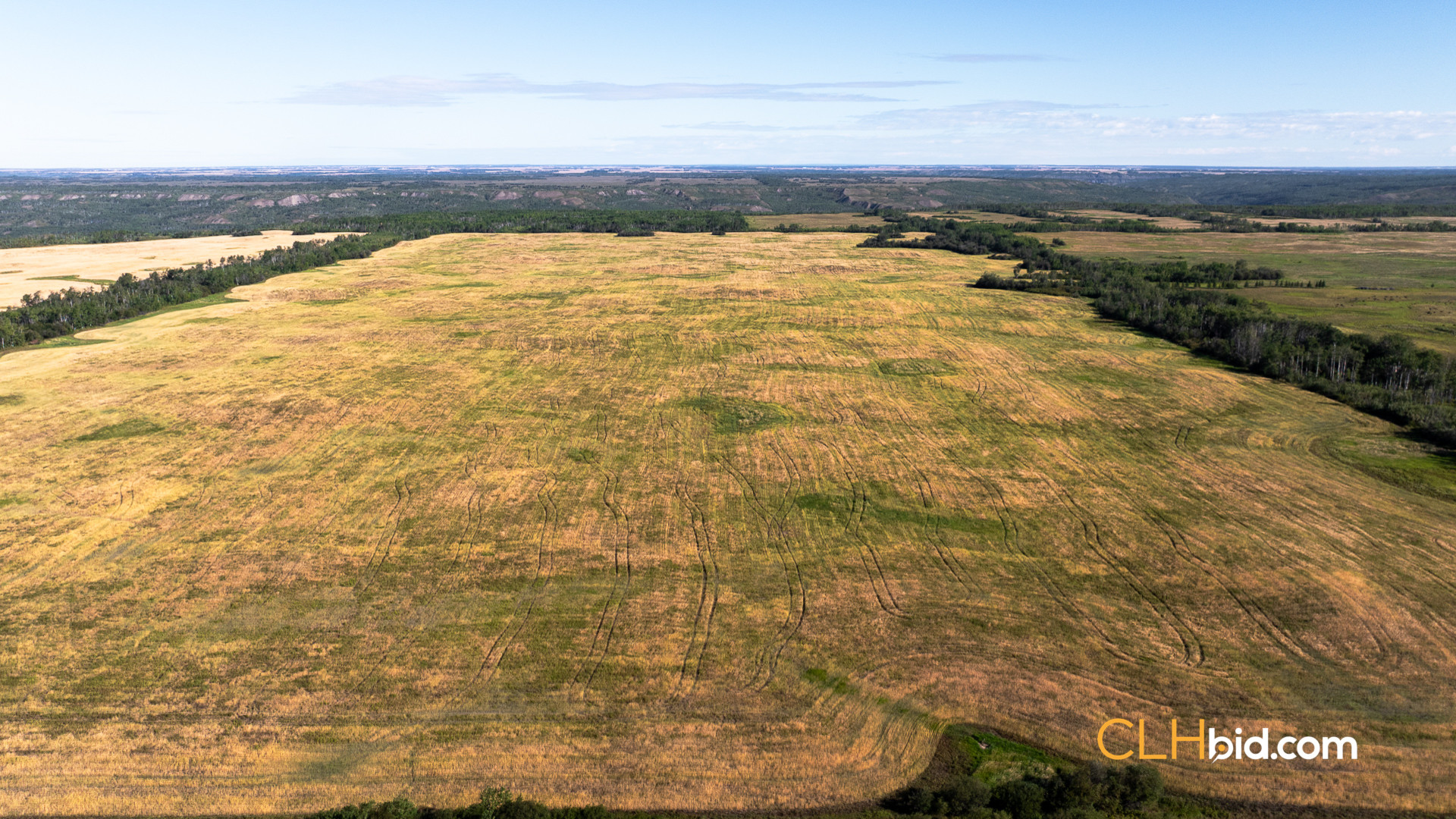 Web Veteran Legacy-2